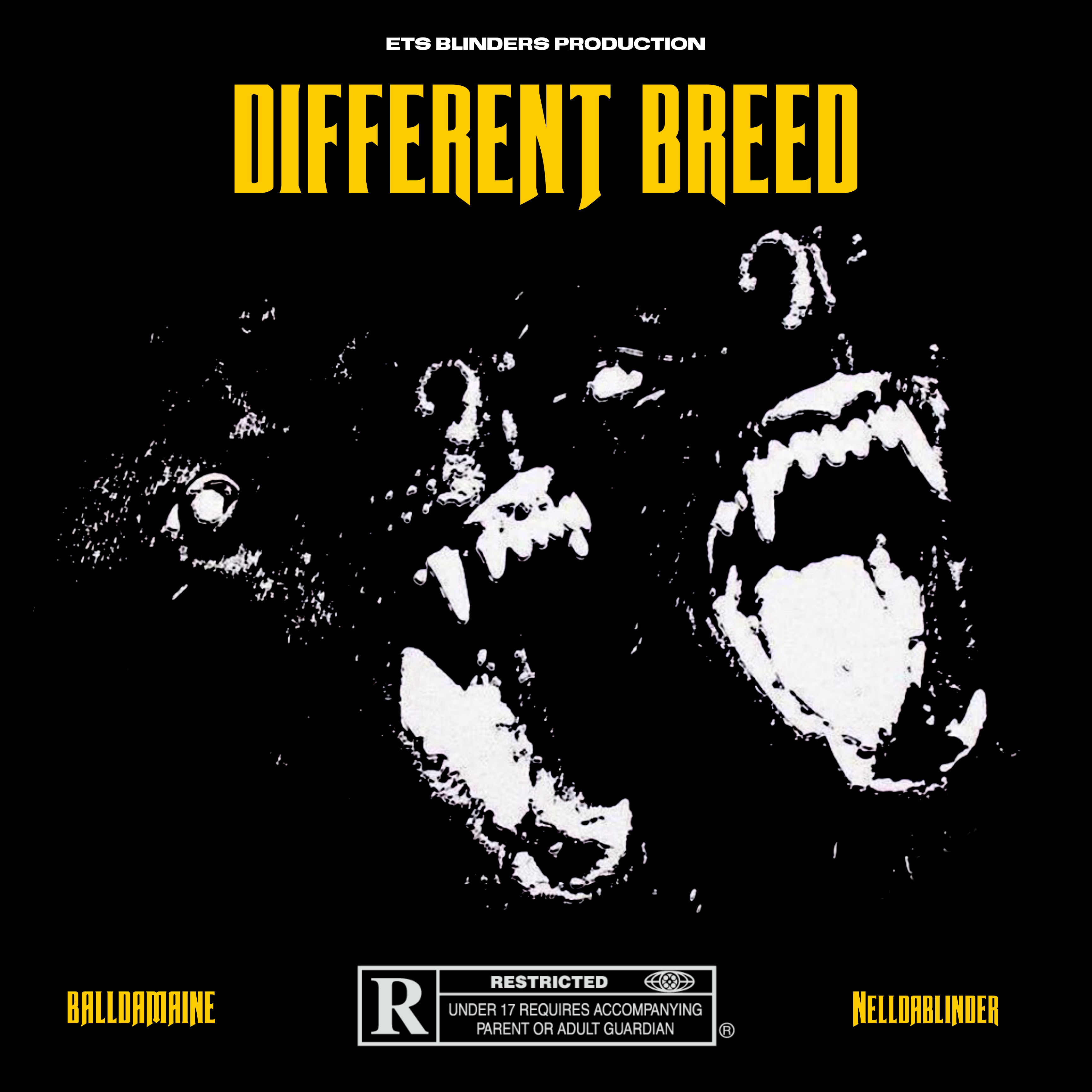Different Breed artwork