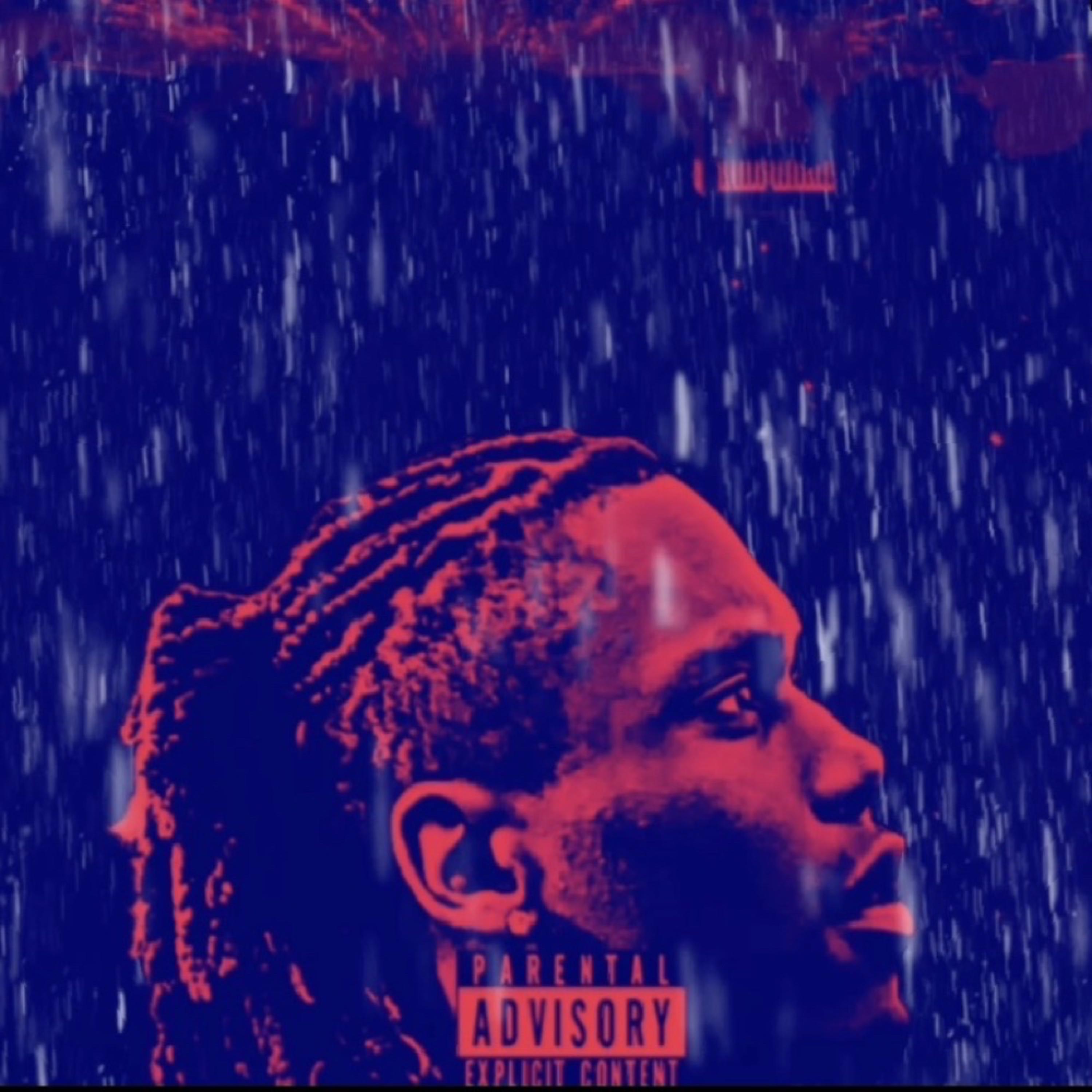 FlawS artwork