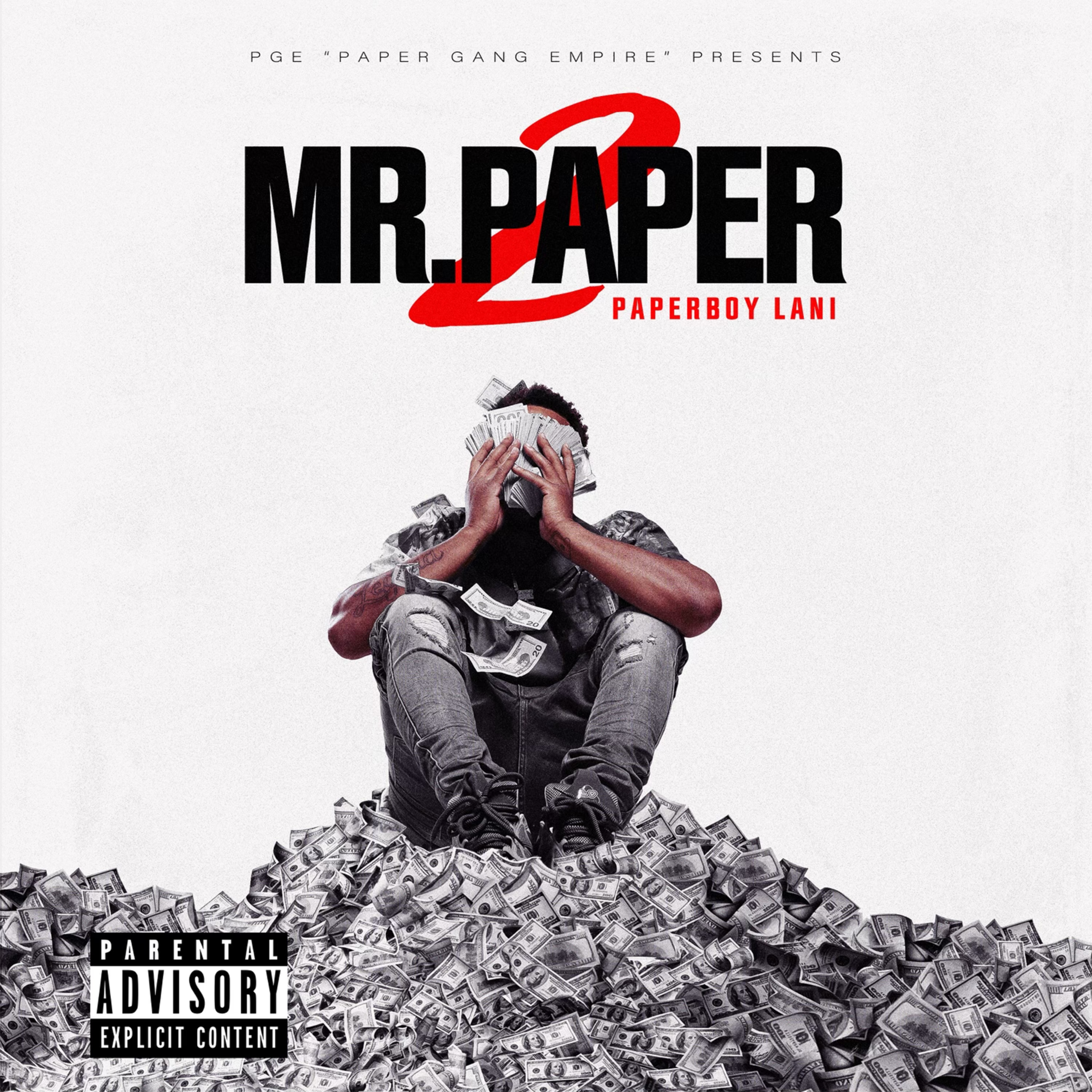 Mr. Paper 2 artwork