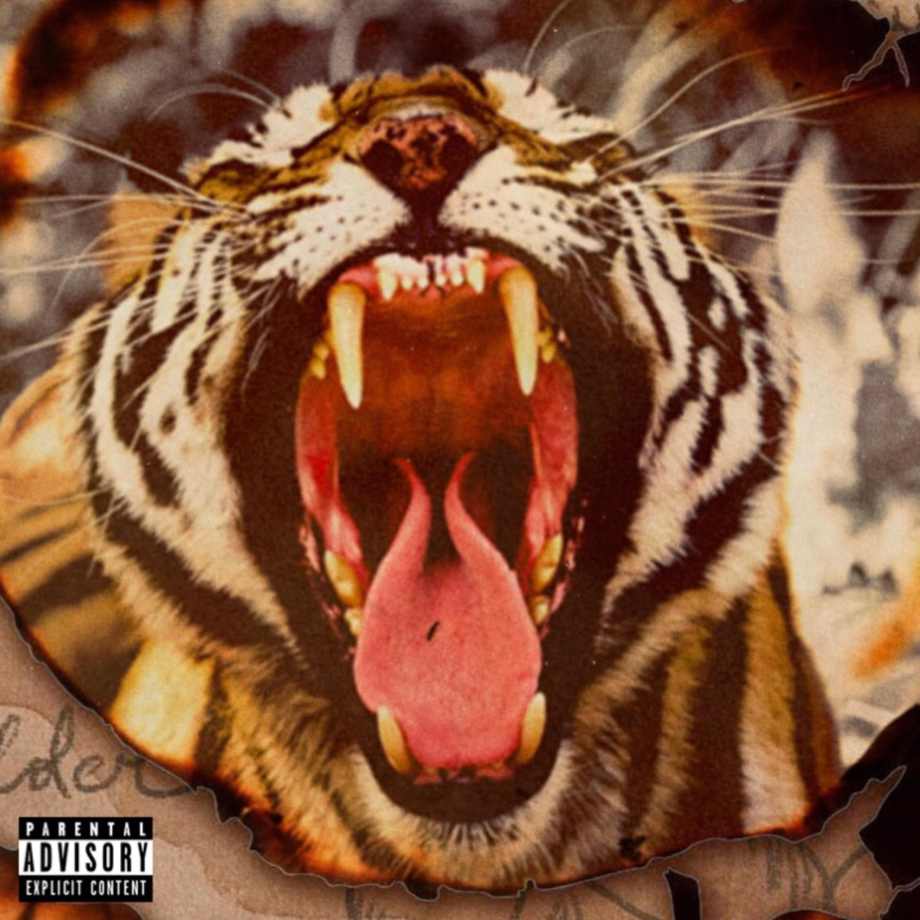 RUM Pum Pum artwork