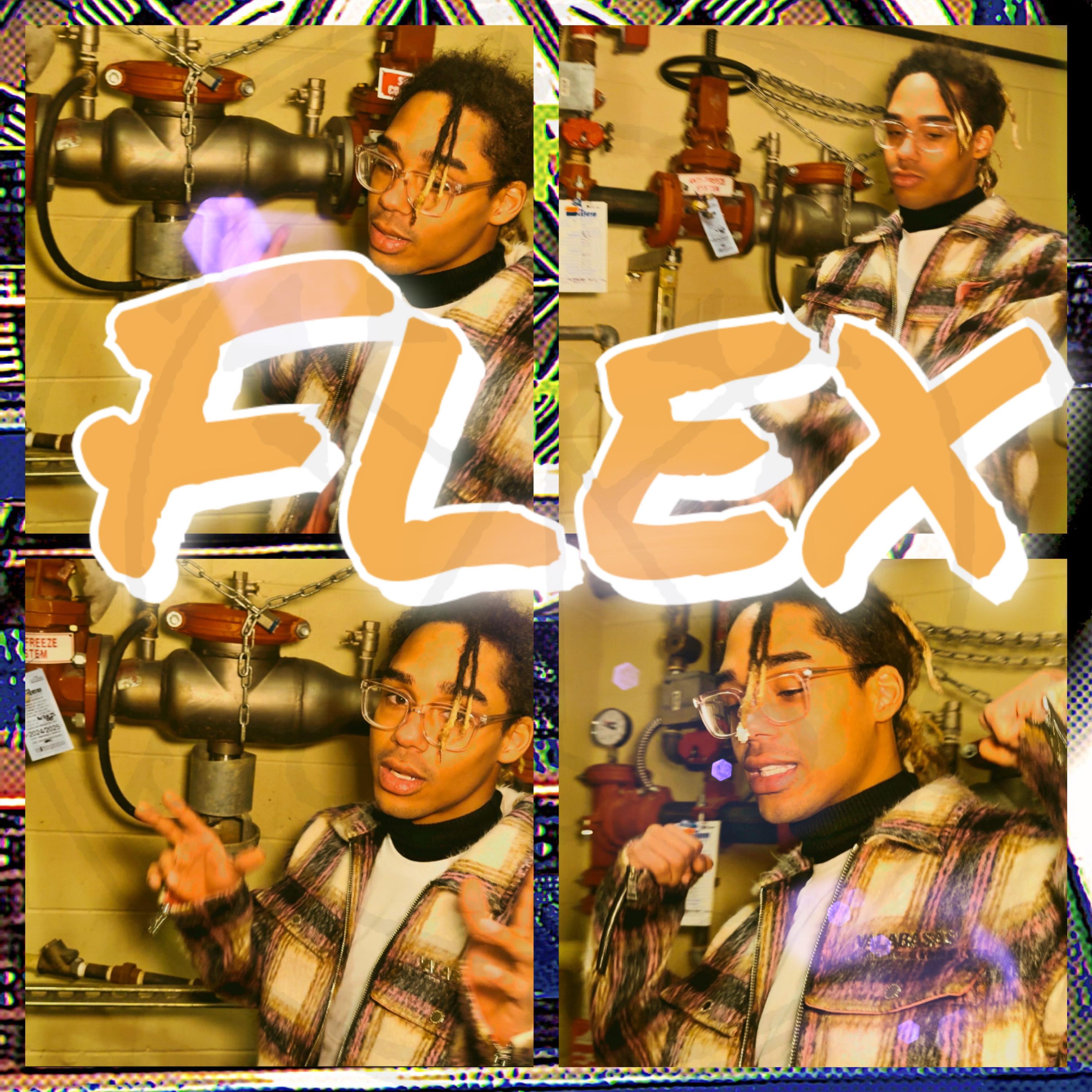FLEX artwork