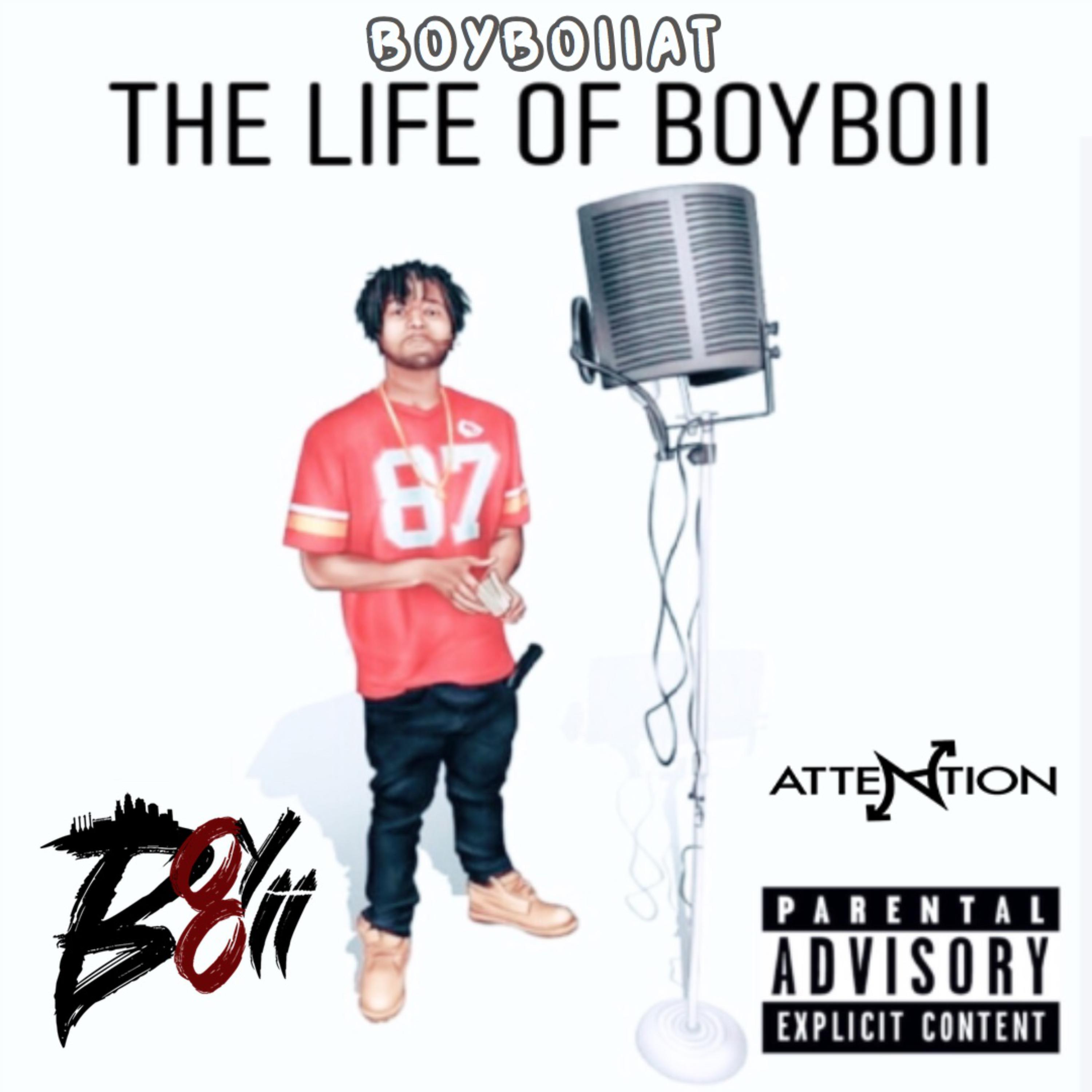 The Life Of BoyBoii artwork
