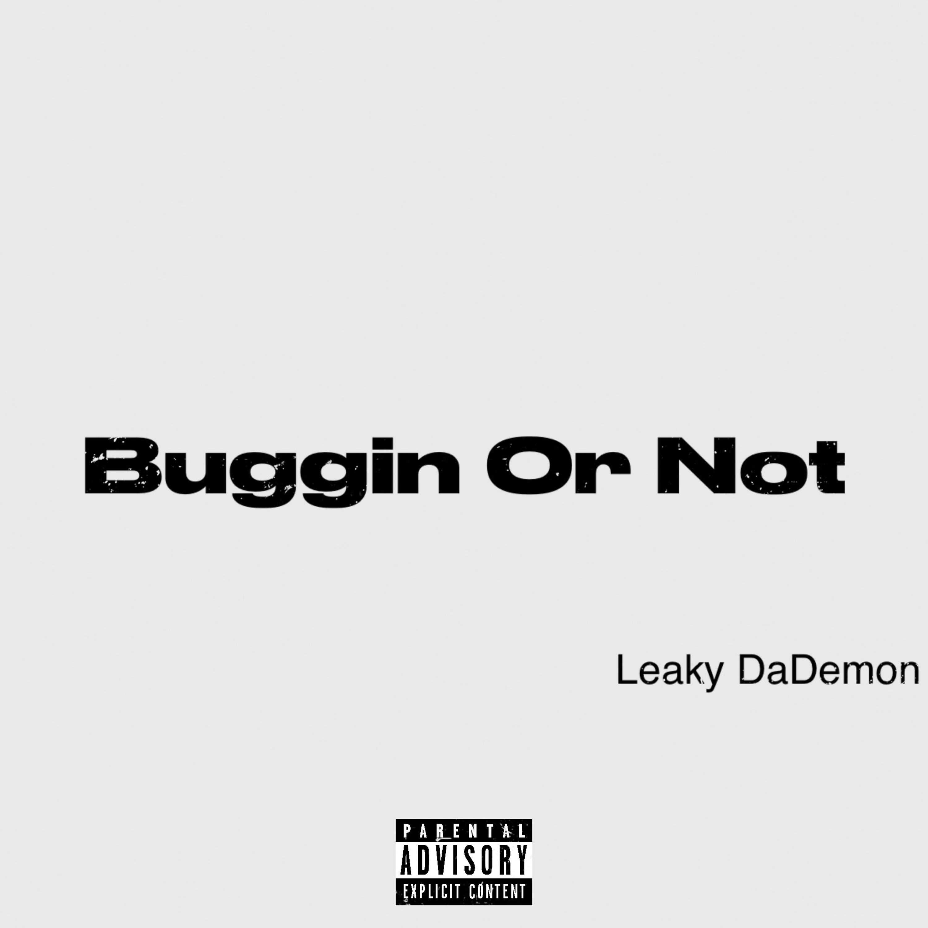 Buggin Or Not artwork