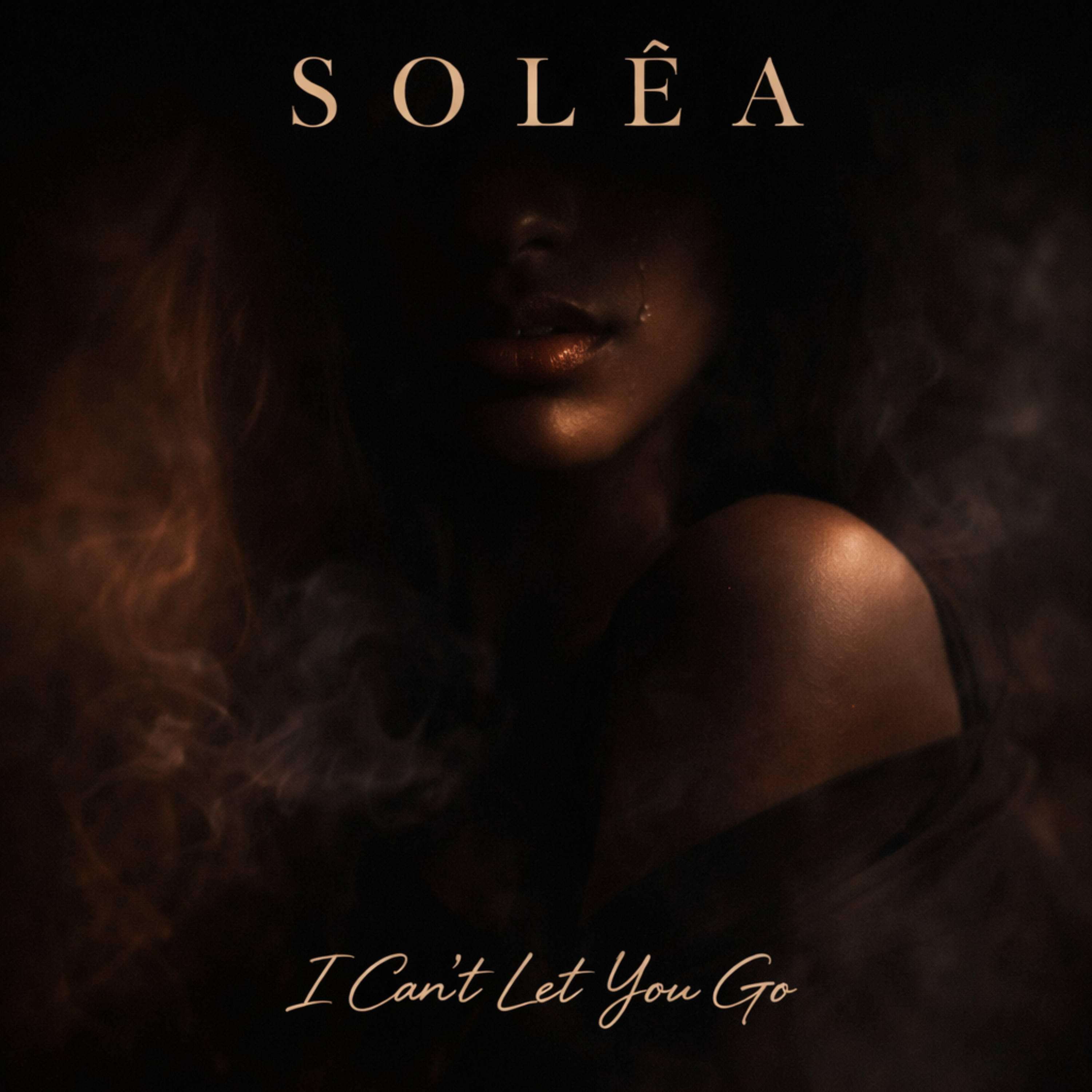 Can't let you go artwork