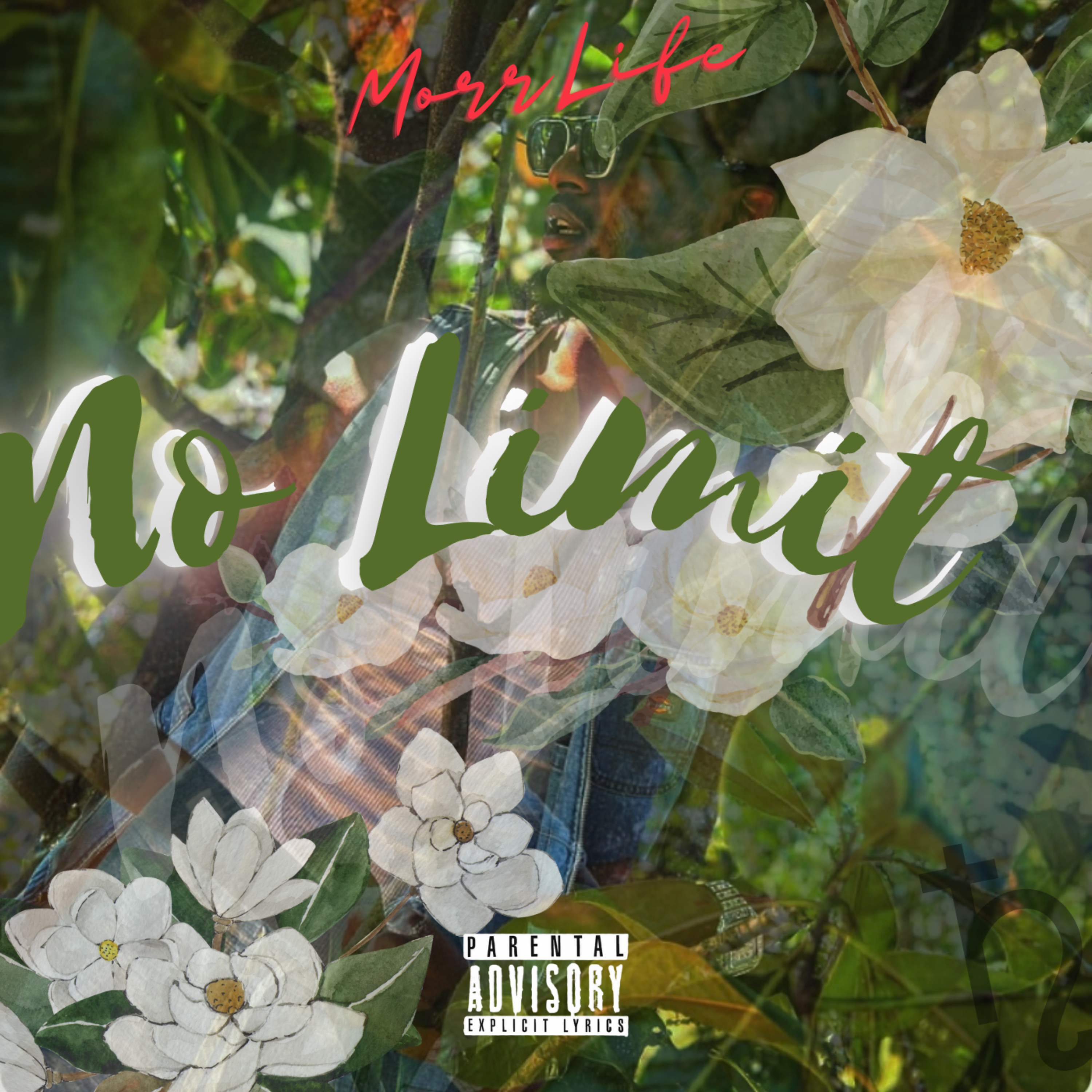 No Limit by MorrLife cover art