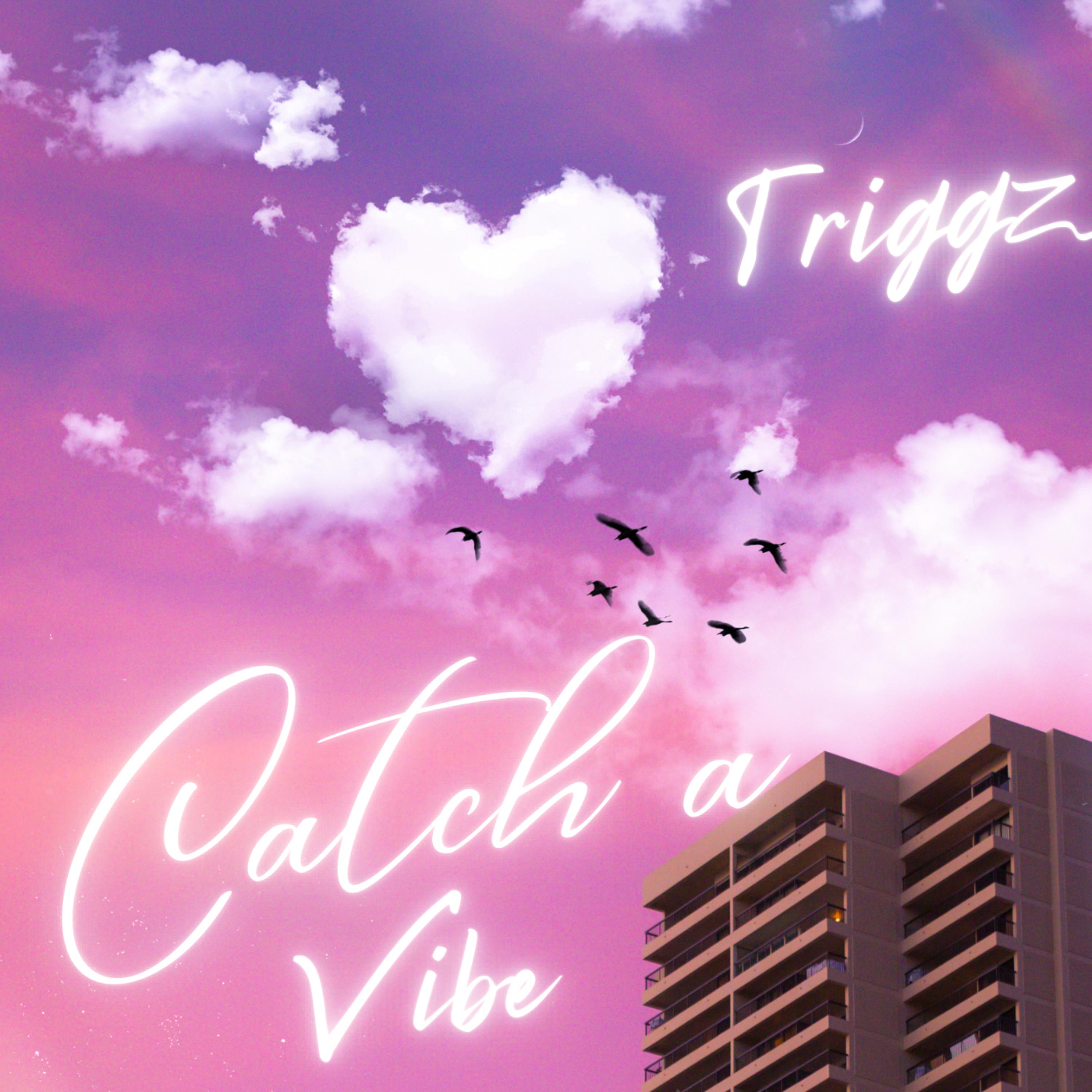 Having Motion by Triggz cover art