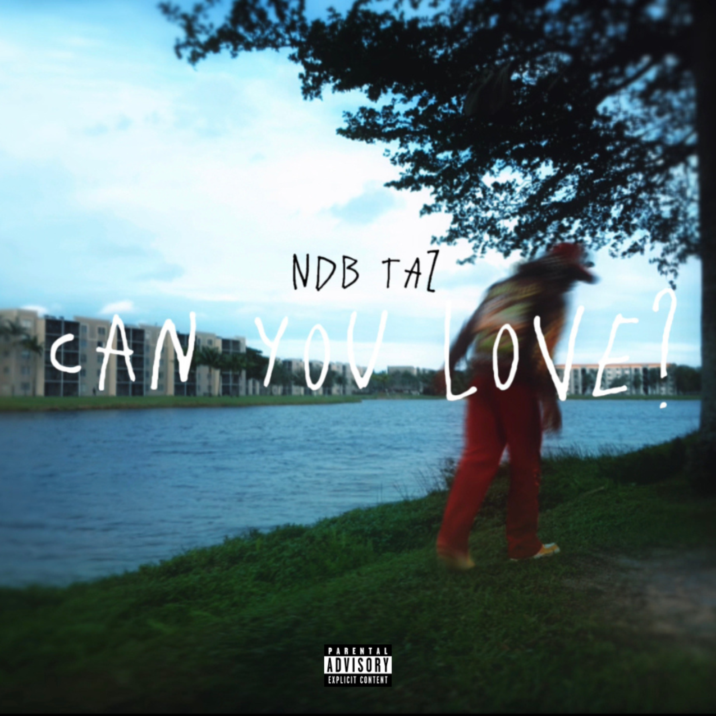 Can You Love ? artwork