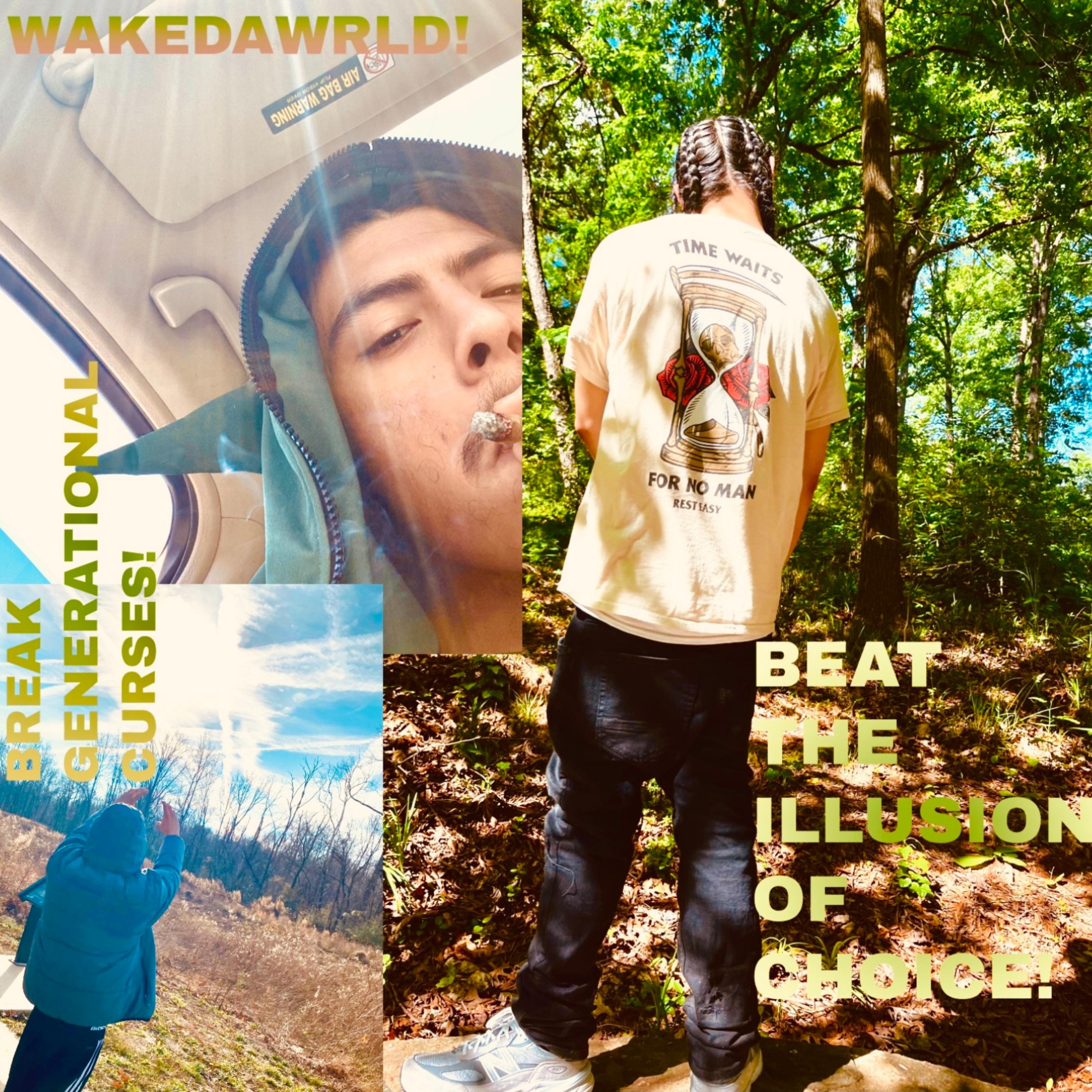 BEATTHEILLUSIONOFCHOICE! artwork