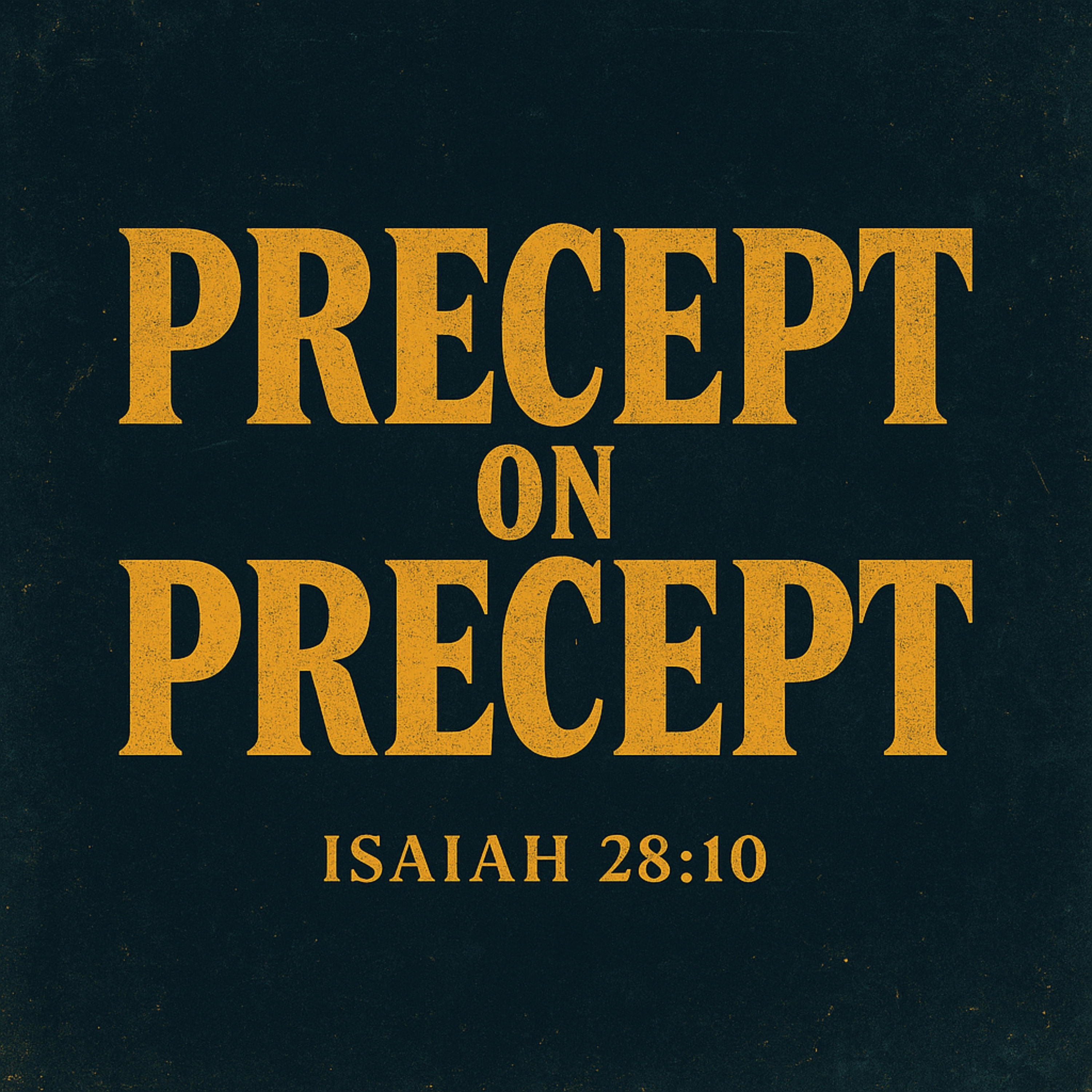 Precept On Precept artwork