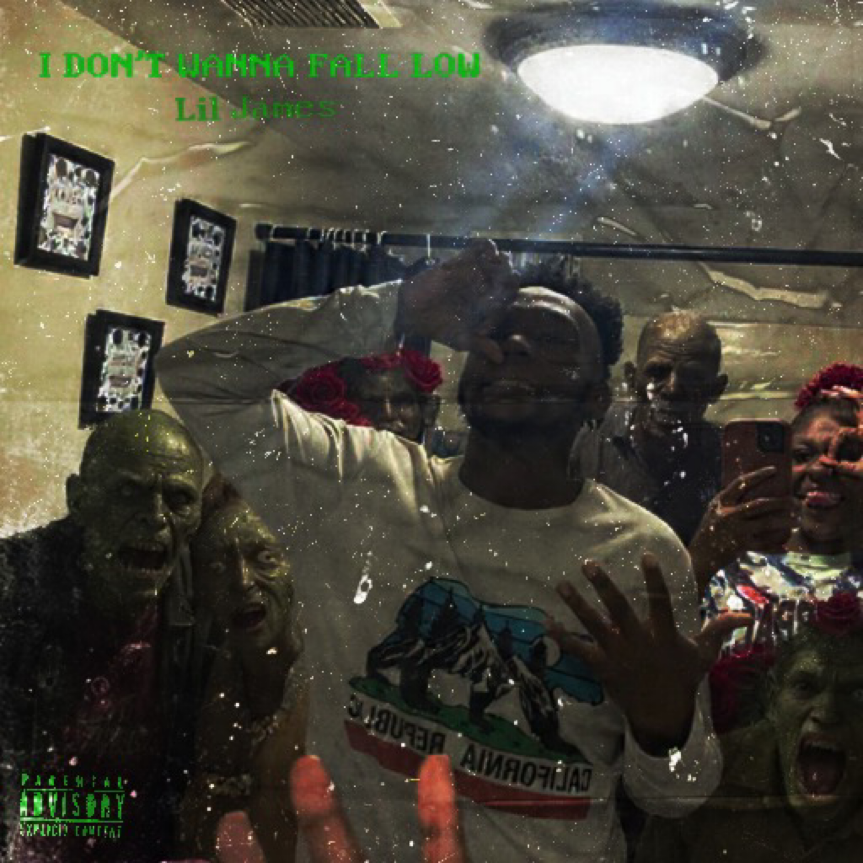 I DON’T WANNA FALL LOW artwork