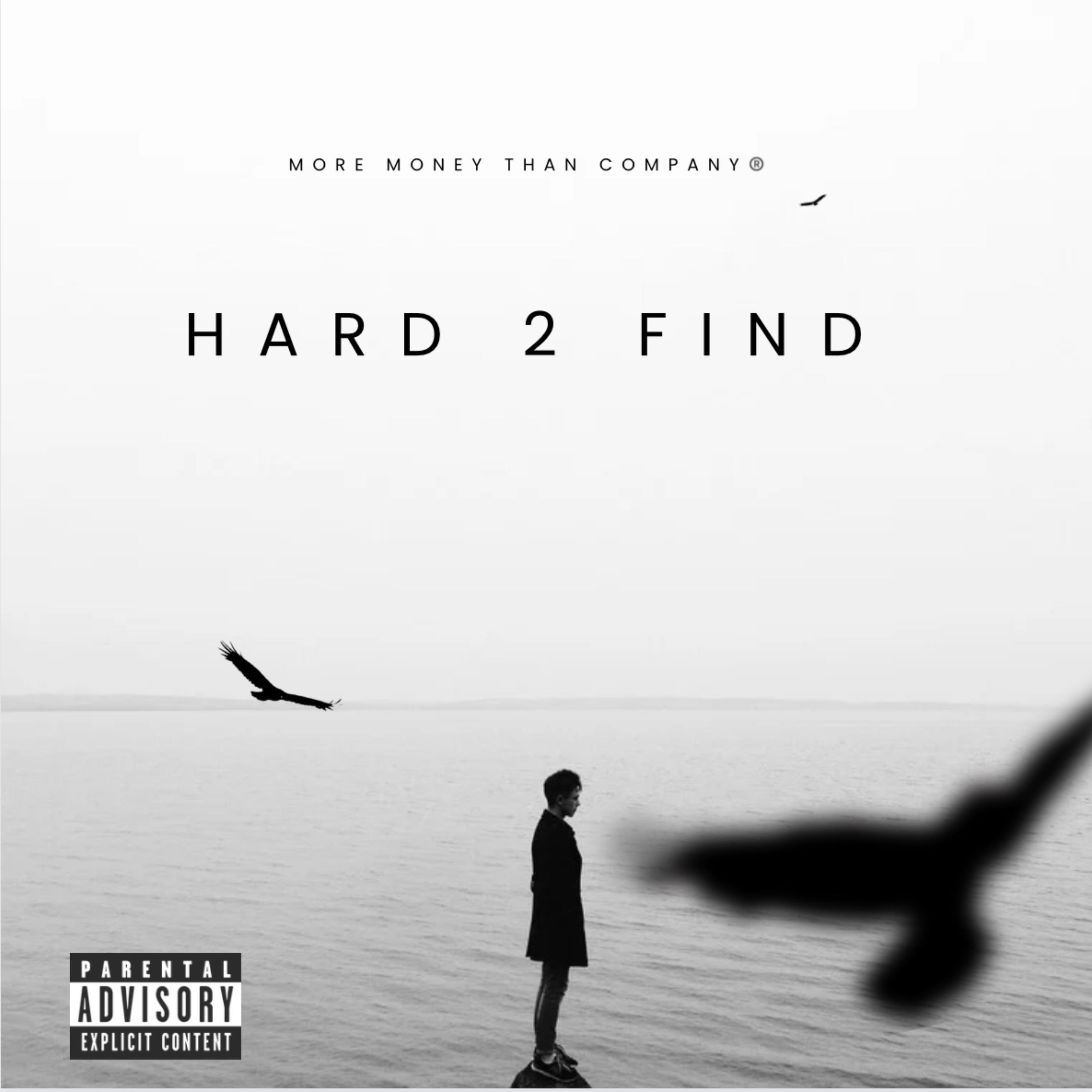 Hard 2 Find artwork