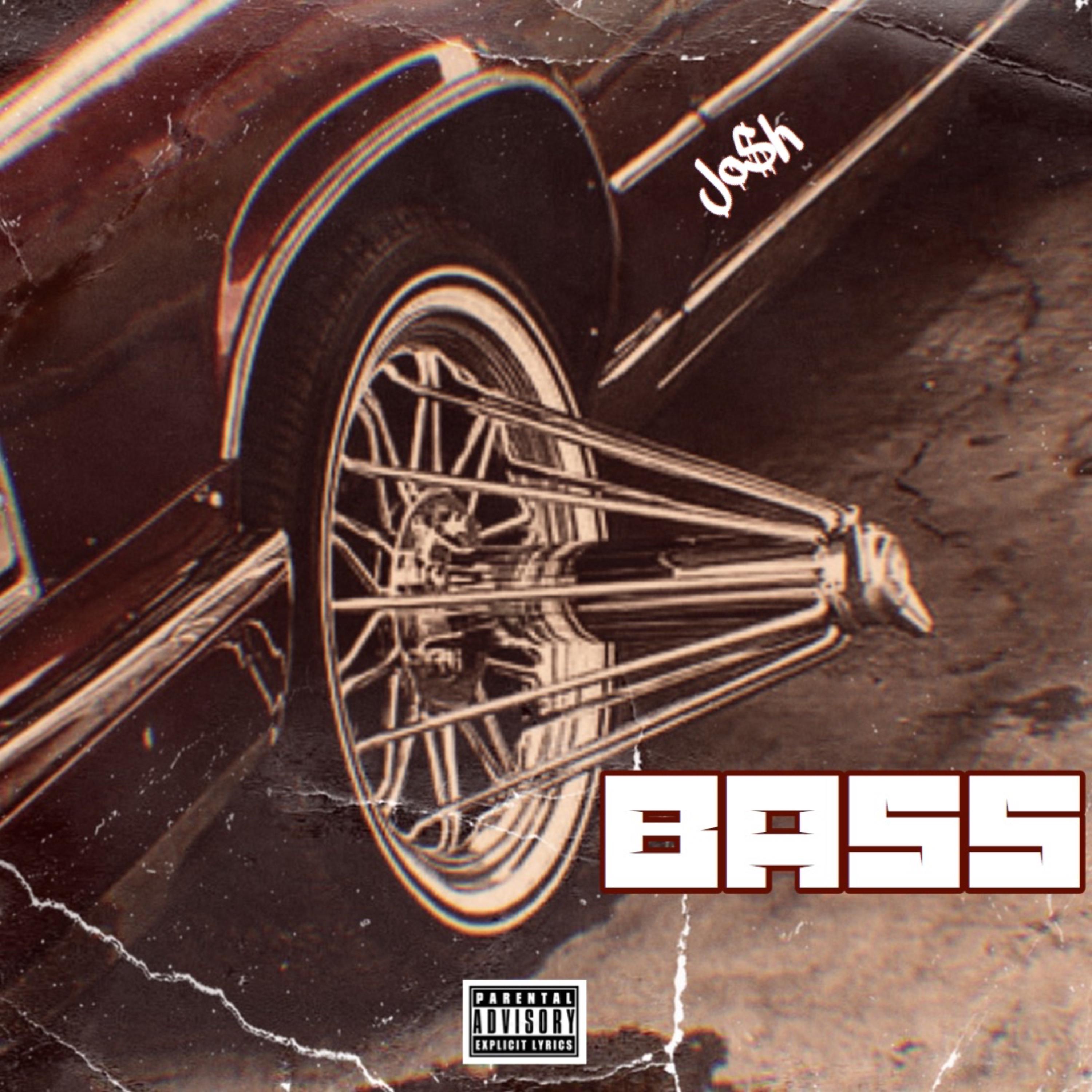 Bass artwork