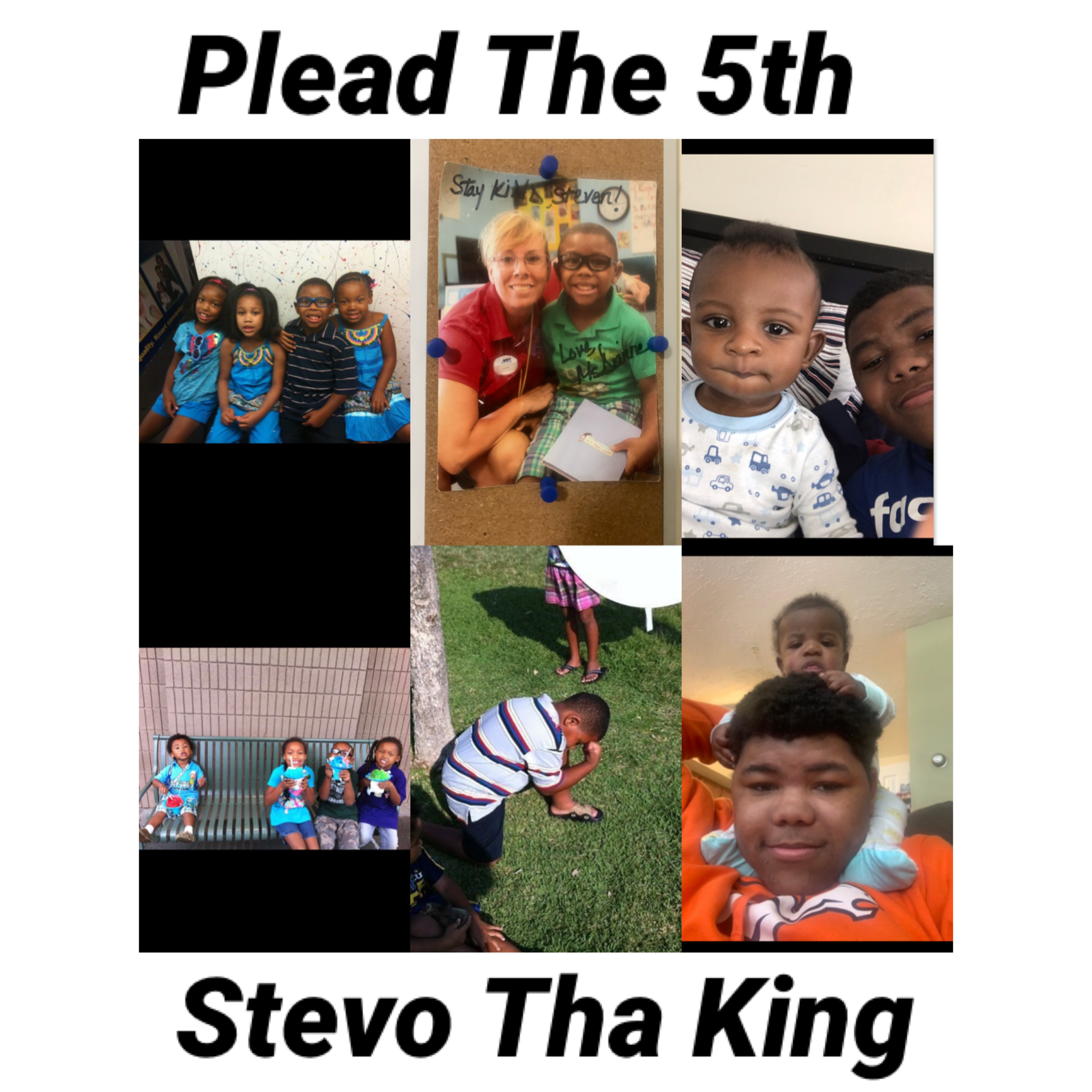 Plead The 5th artwork