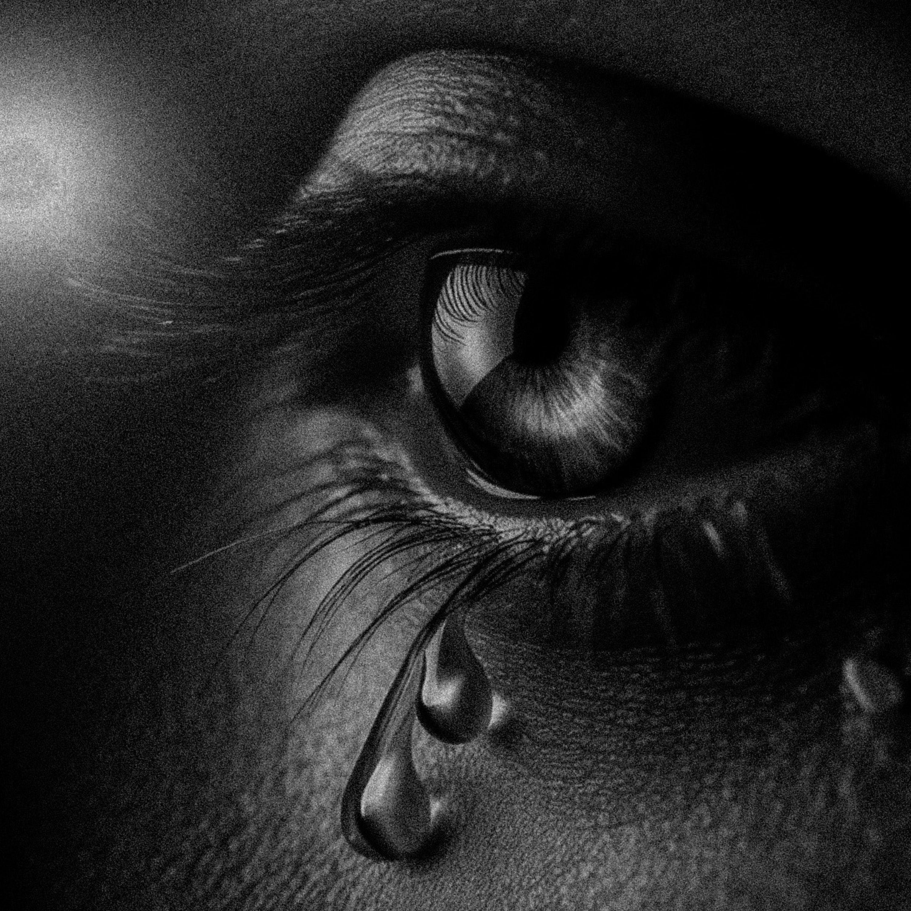 tears artwork