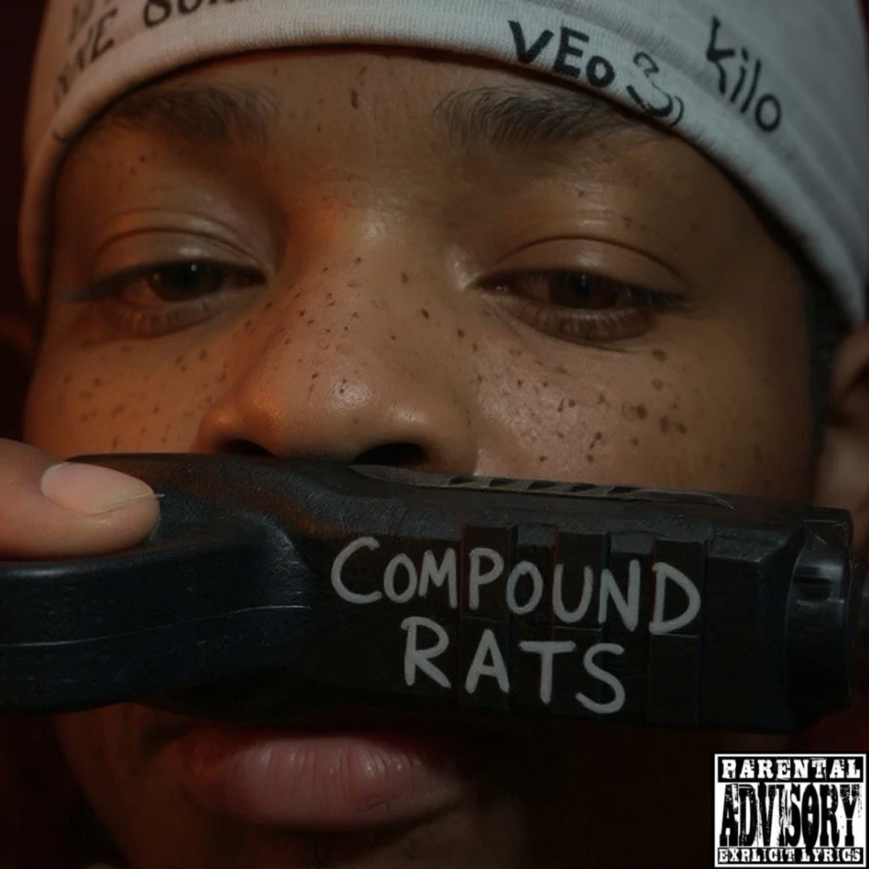 Compound Rats artwork