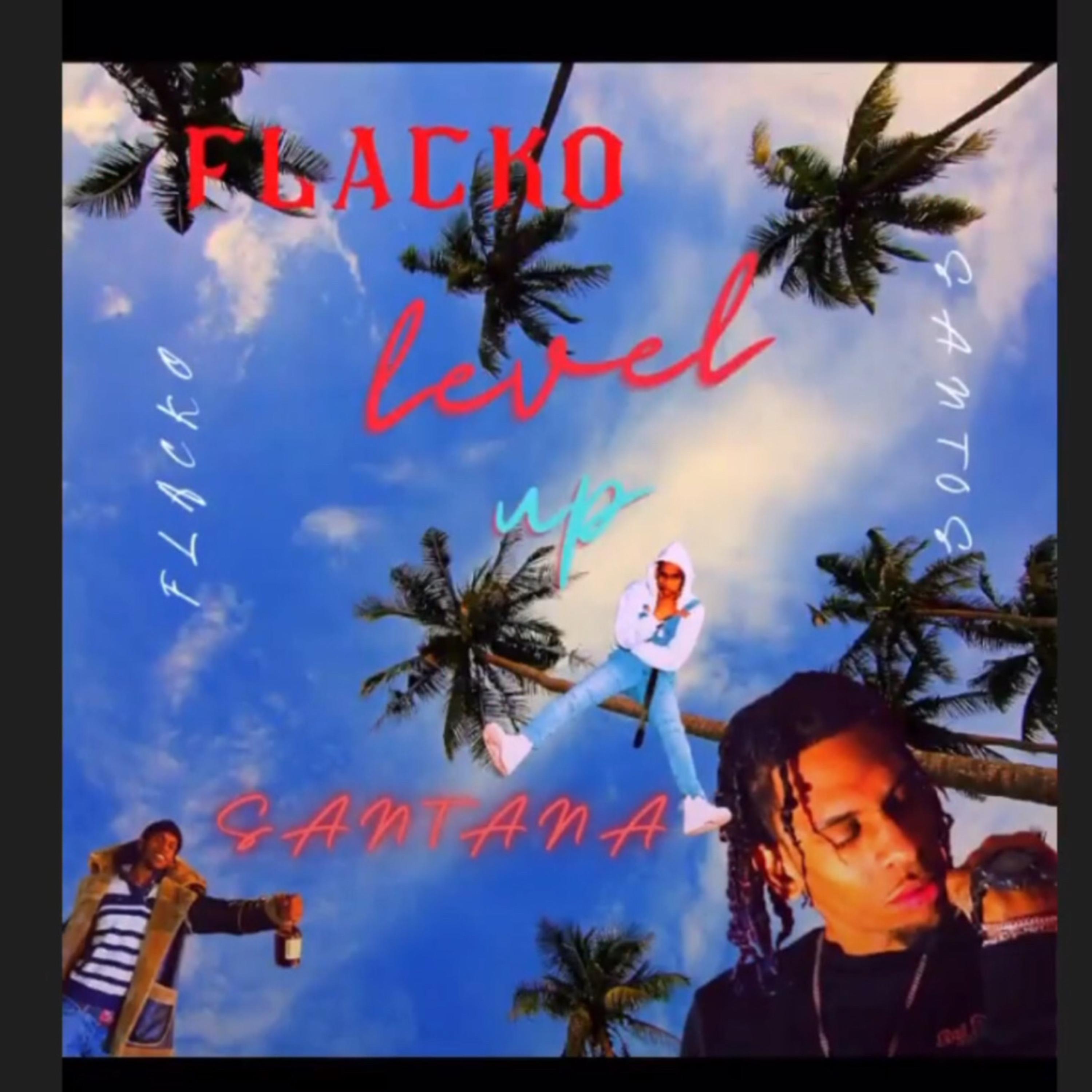 LEVEL UP artwork