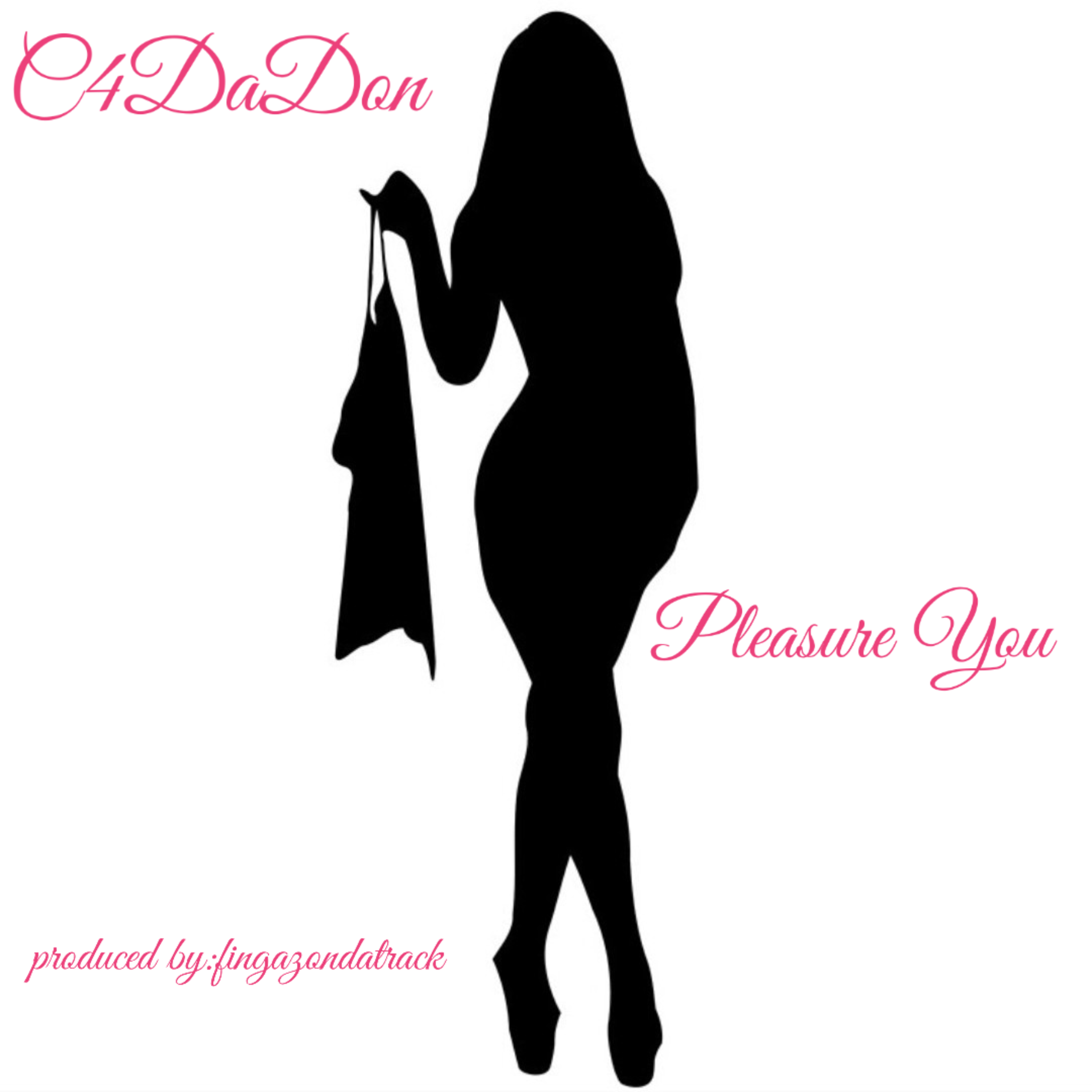 Pleasure You artwork