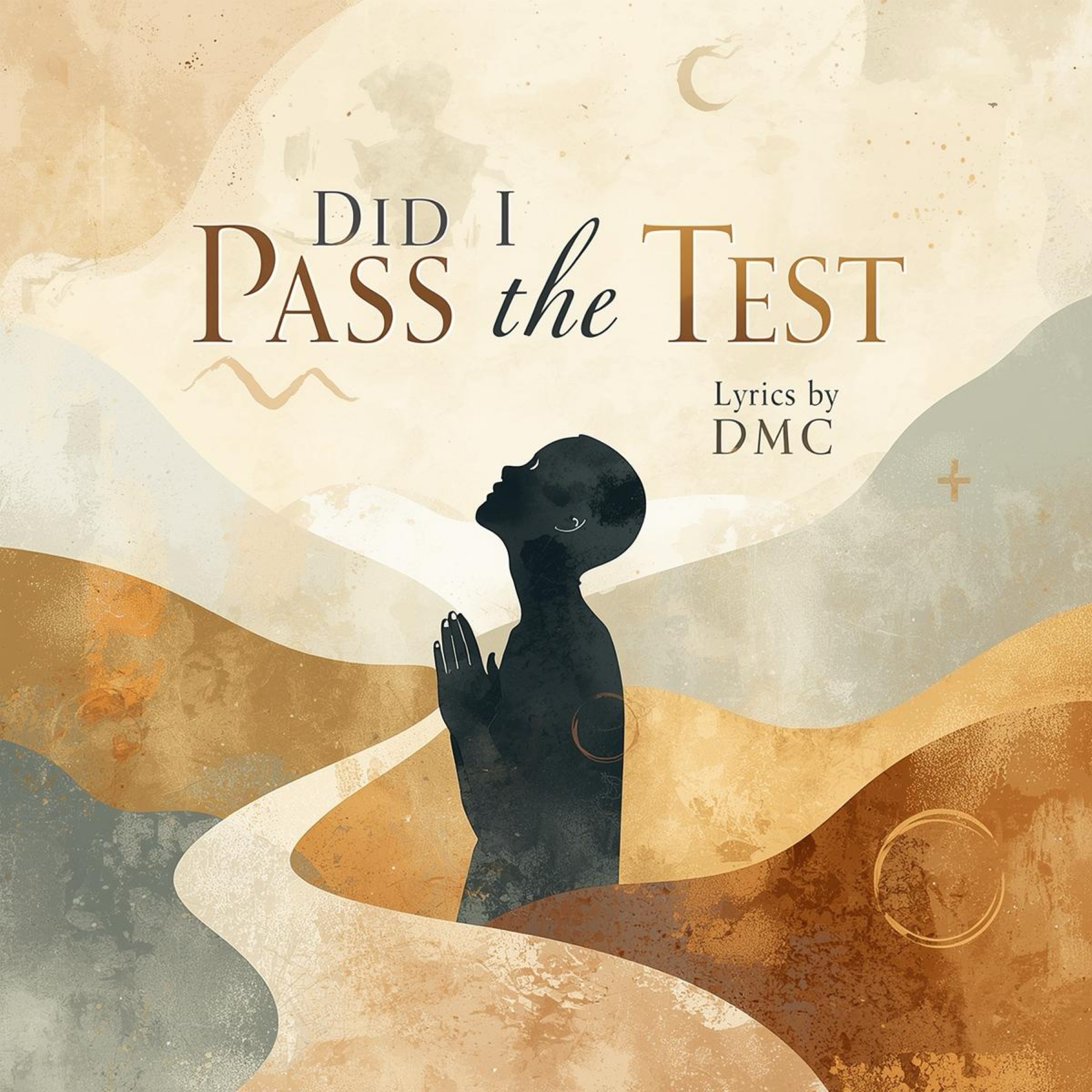 Did I Pass the Test artwork