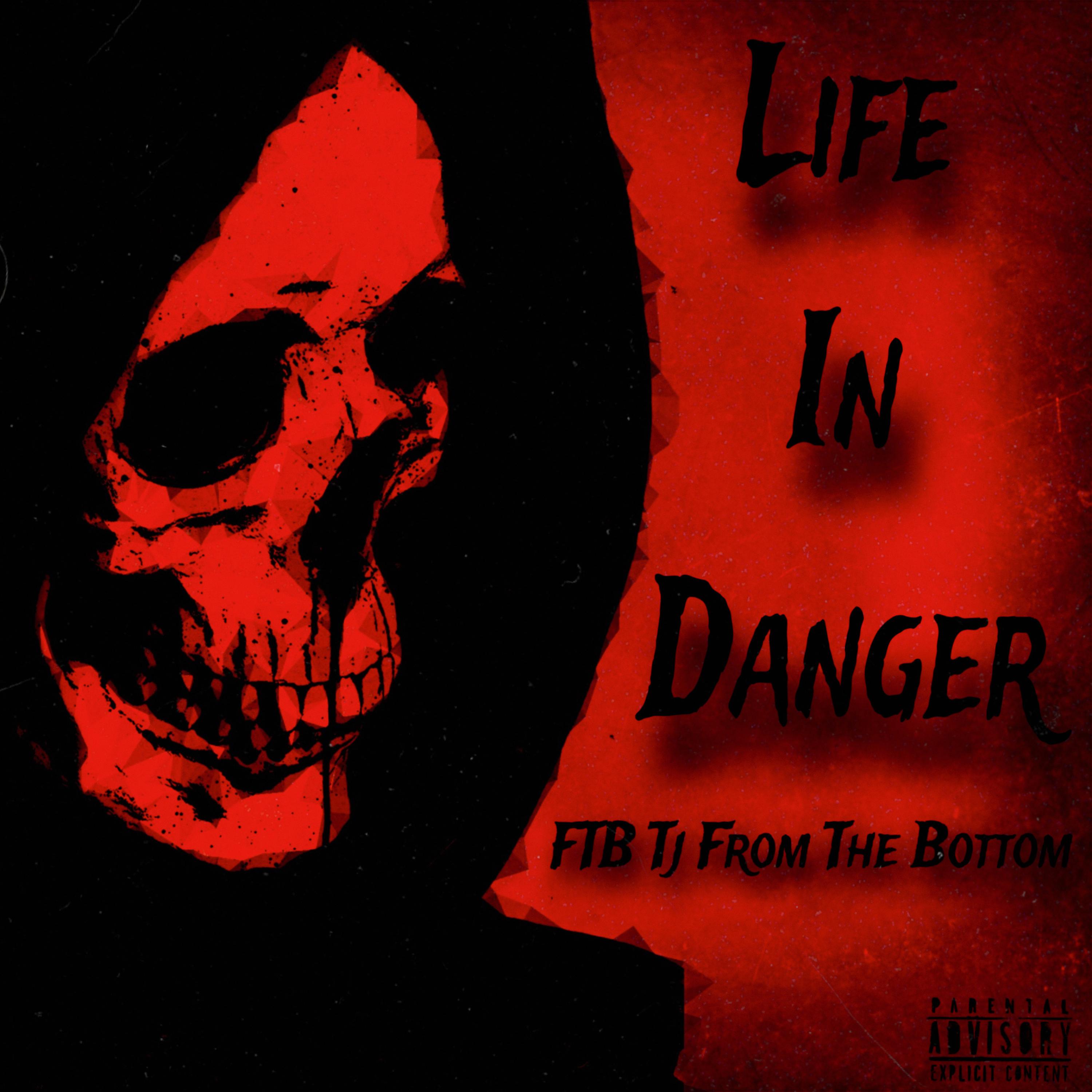 Life In Danger artwork