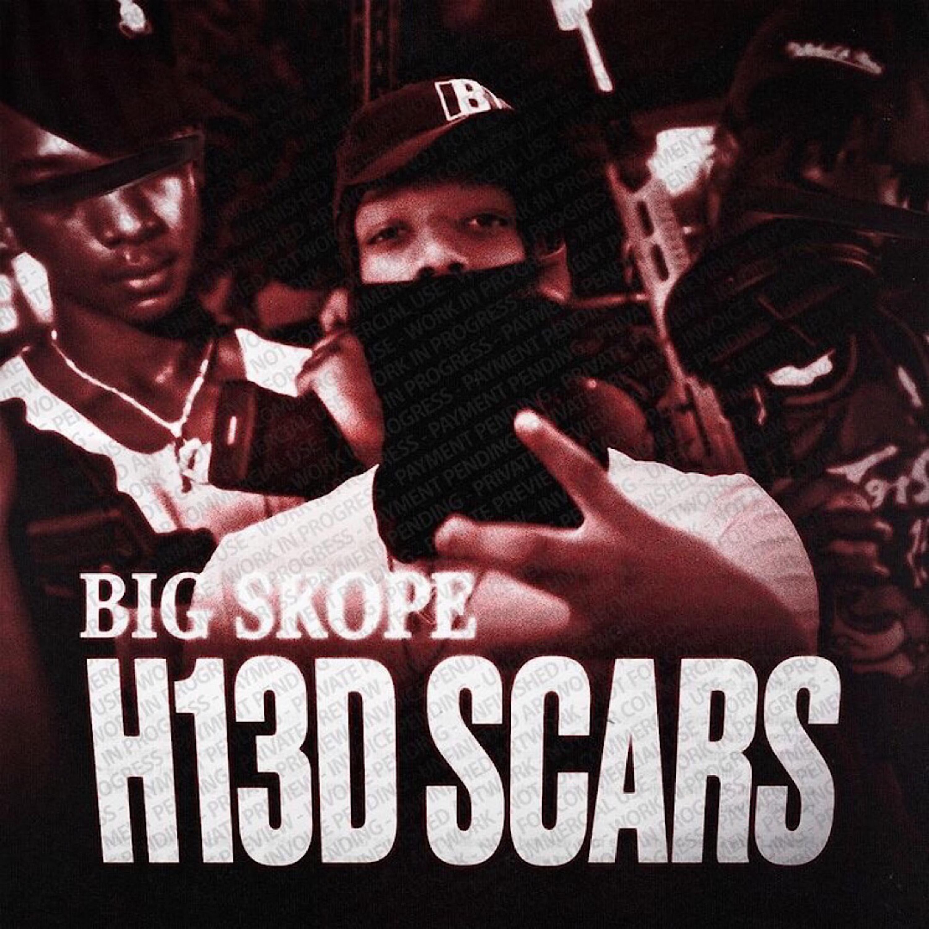 H13D Scars artwork