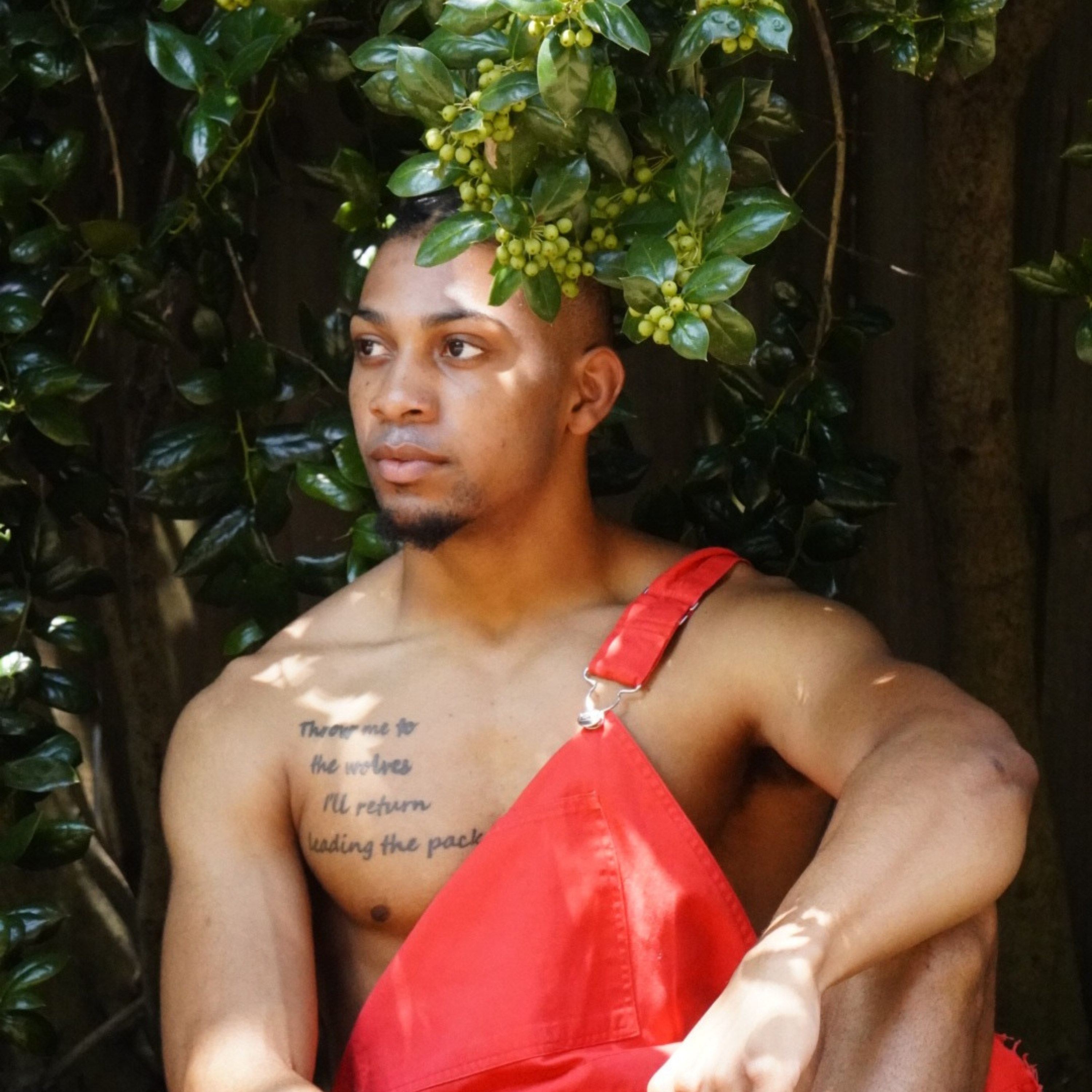 Thoroughbred Freestyle artwork