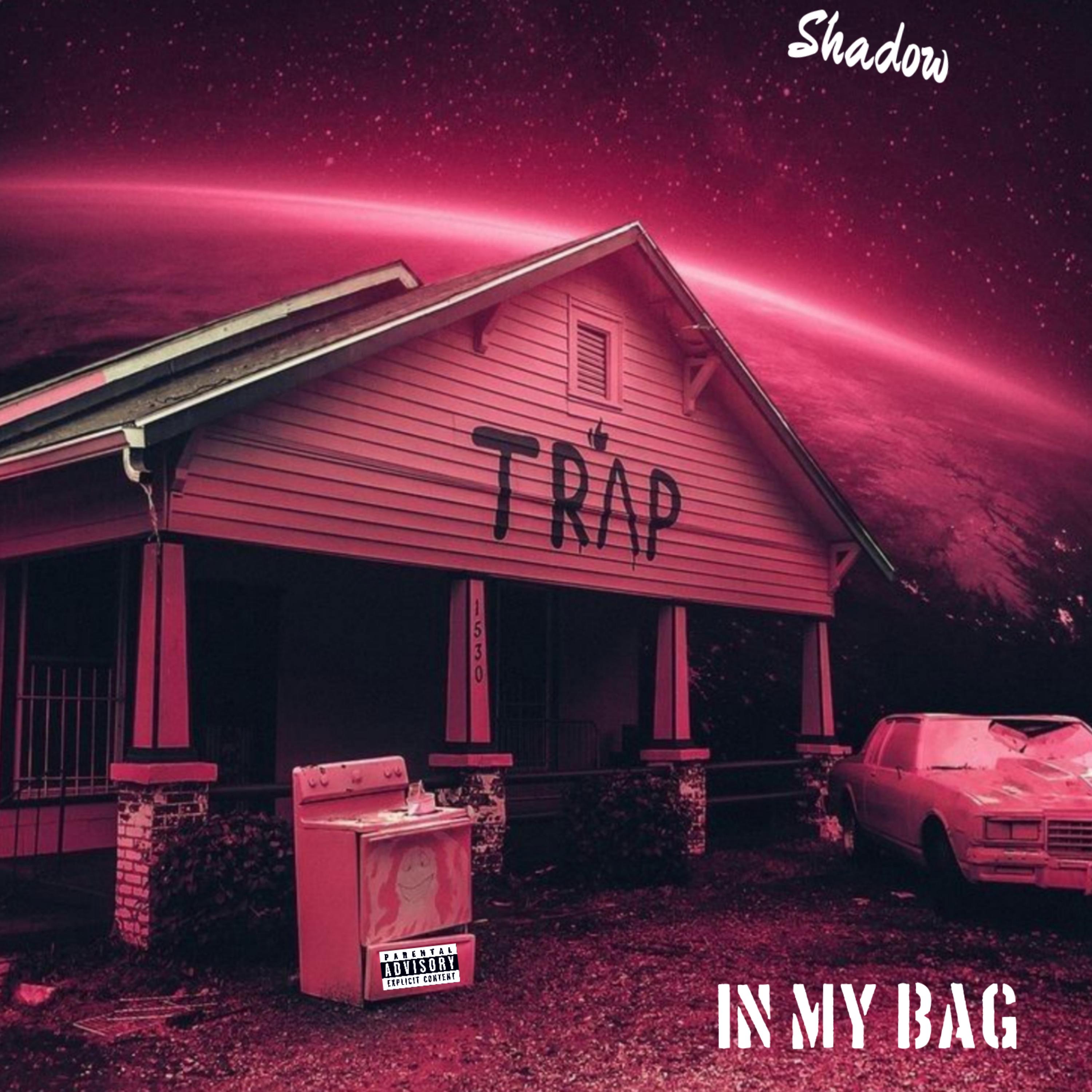 In my Bag artwork