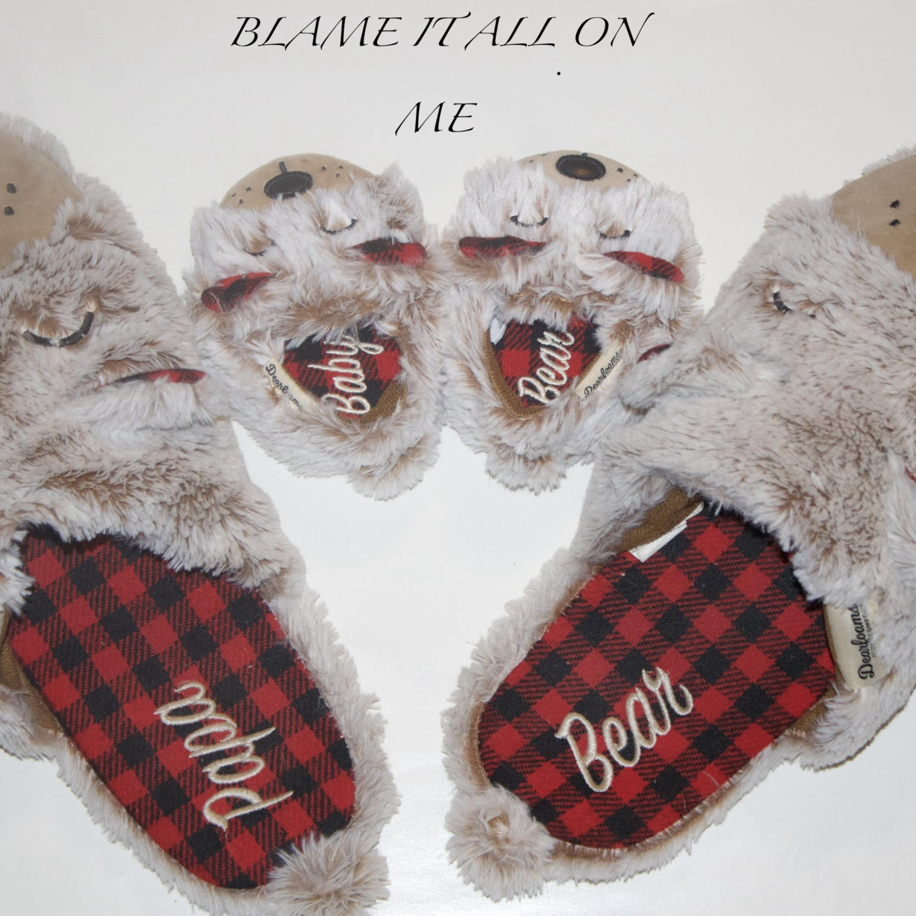 BlameItAllOnMe artwork