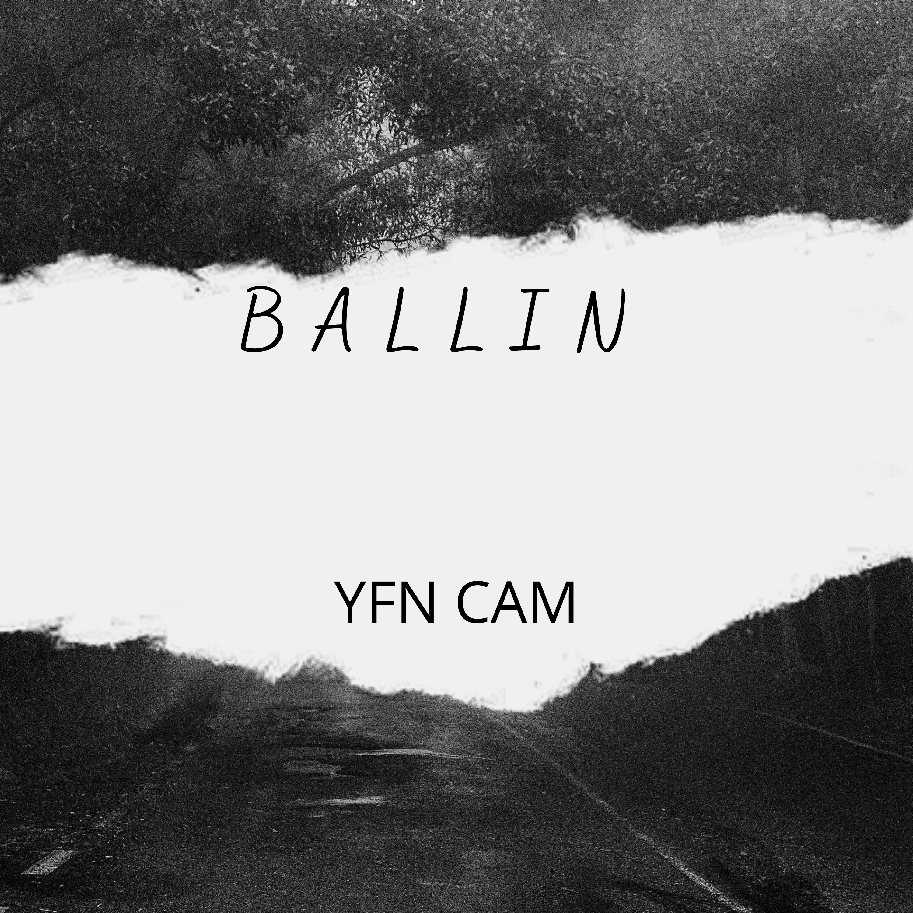 Ballin artwork