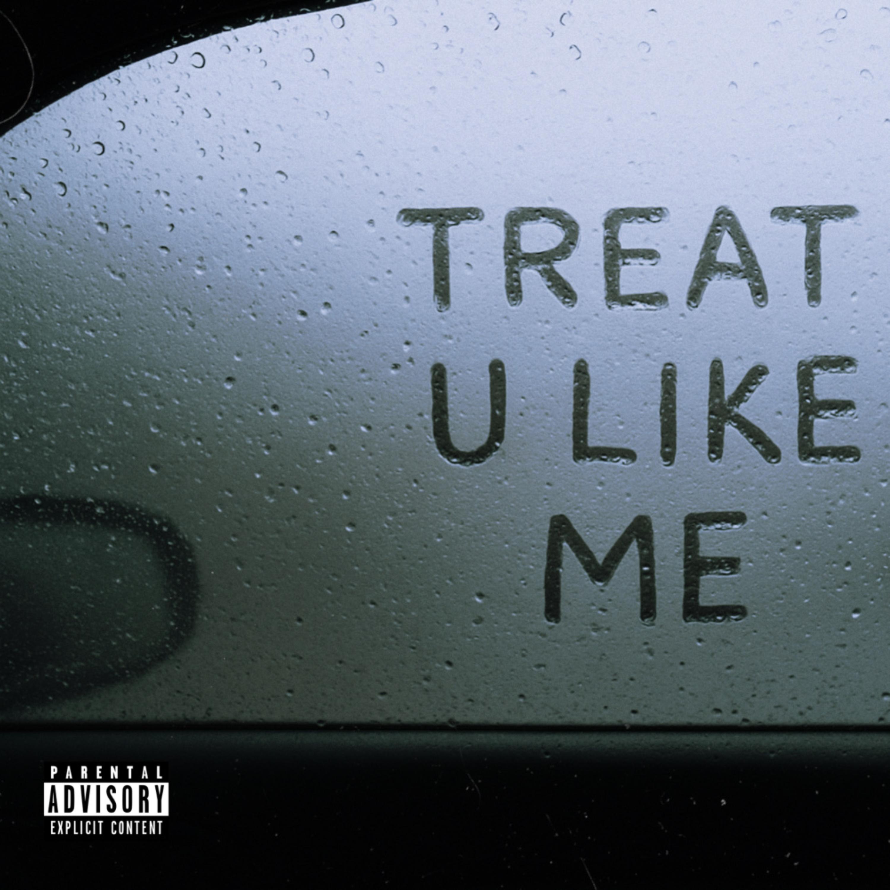 treat u like me artwork