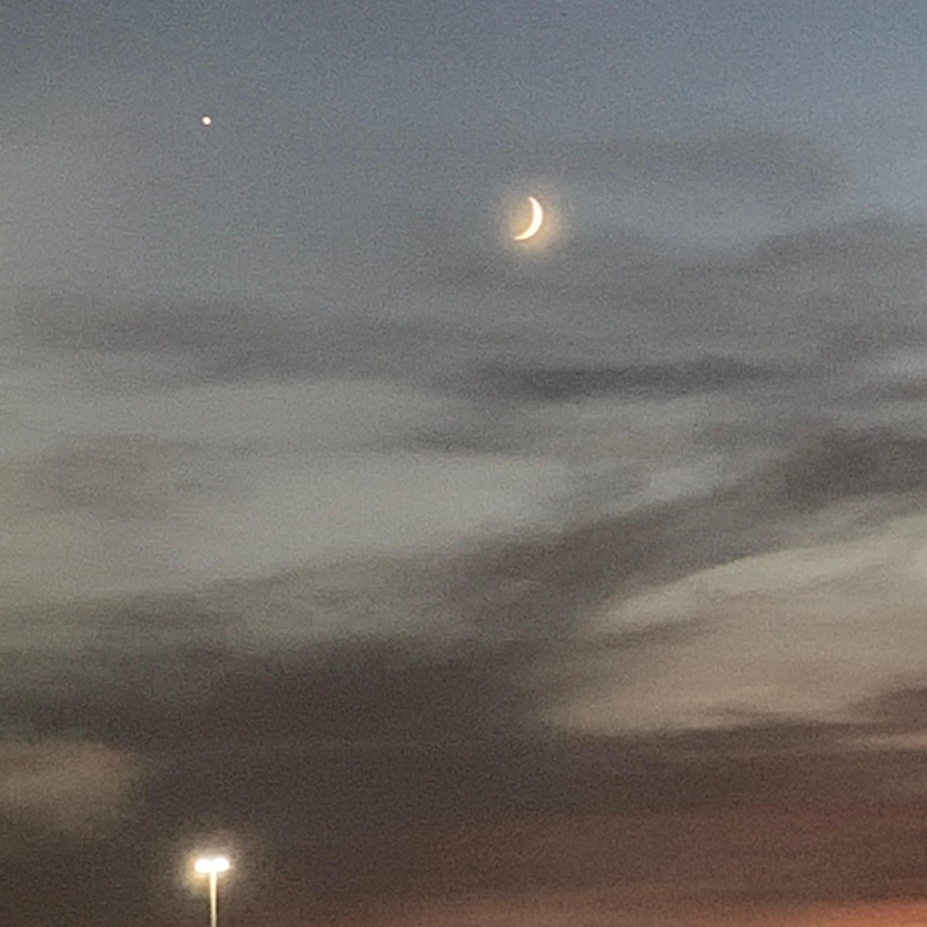 Beauty & The Beast artwork