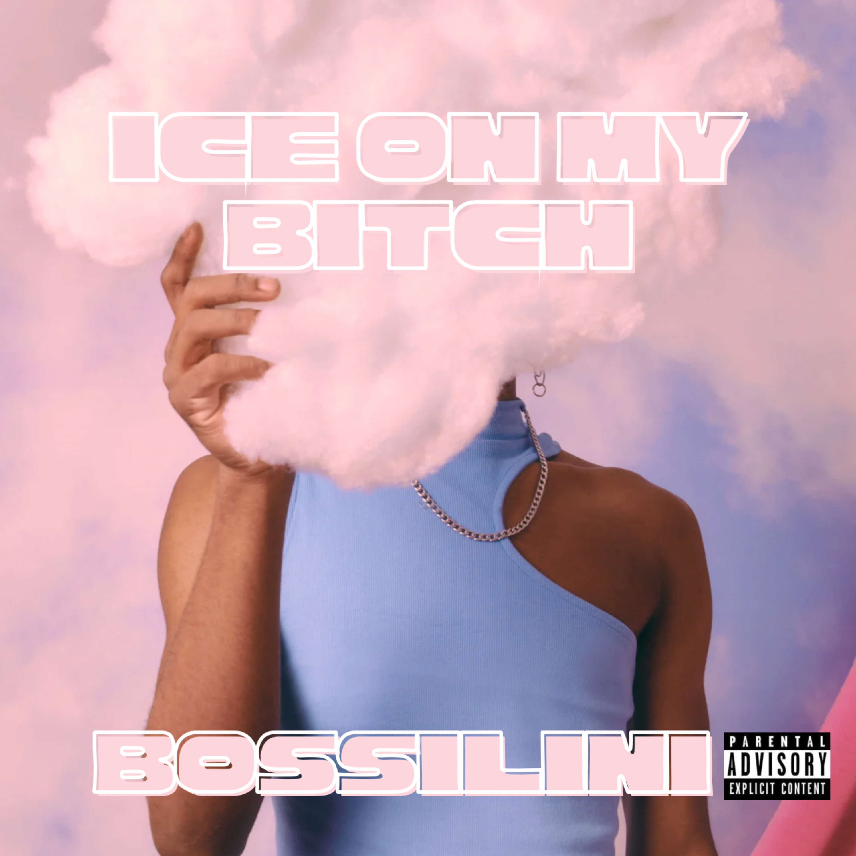 Ice On My Bitch artwork