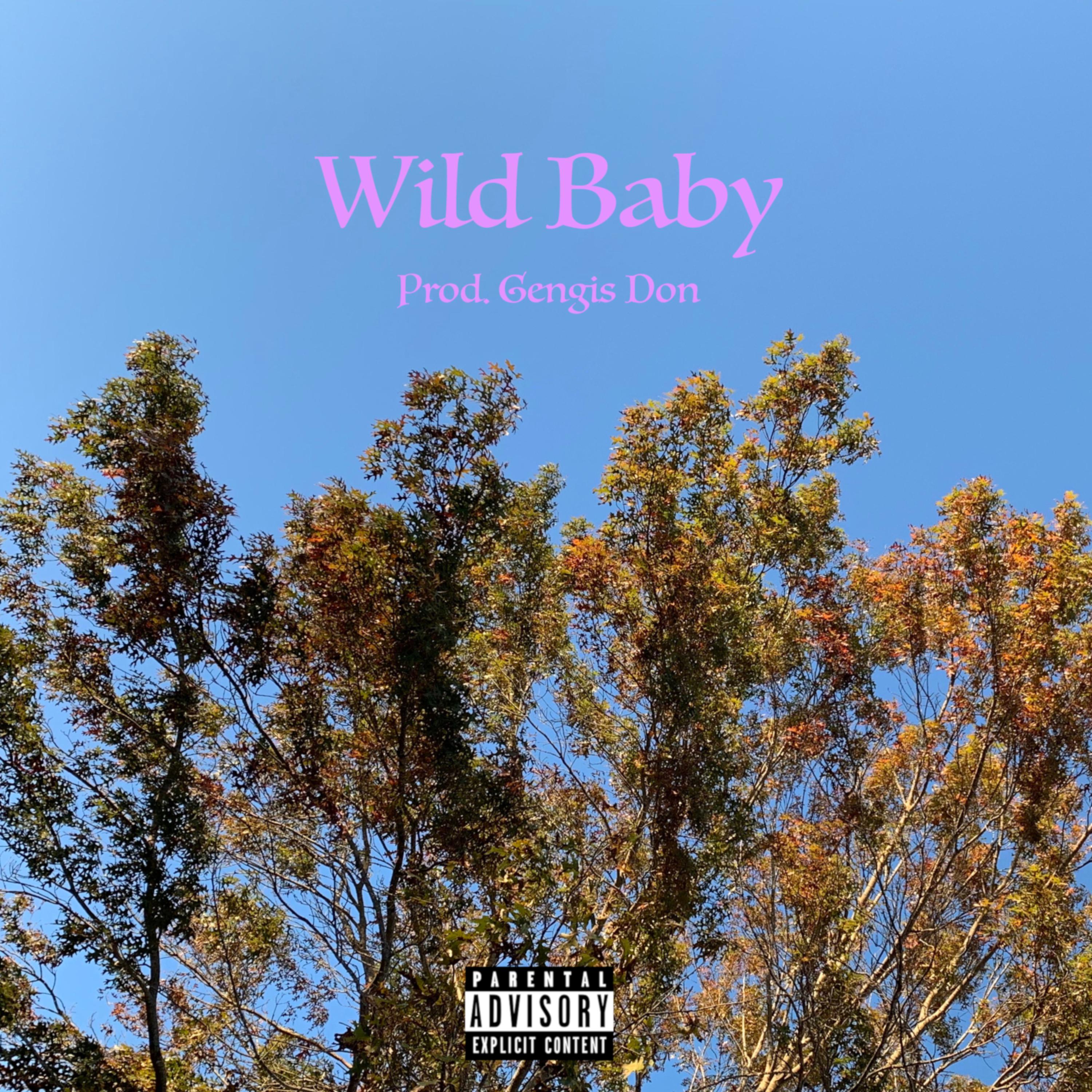 Wild Baby artwork