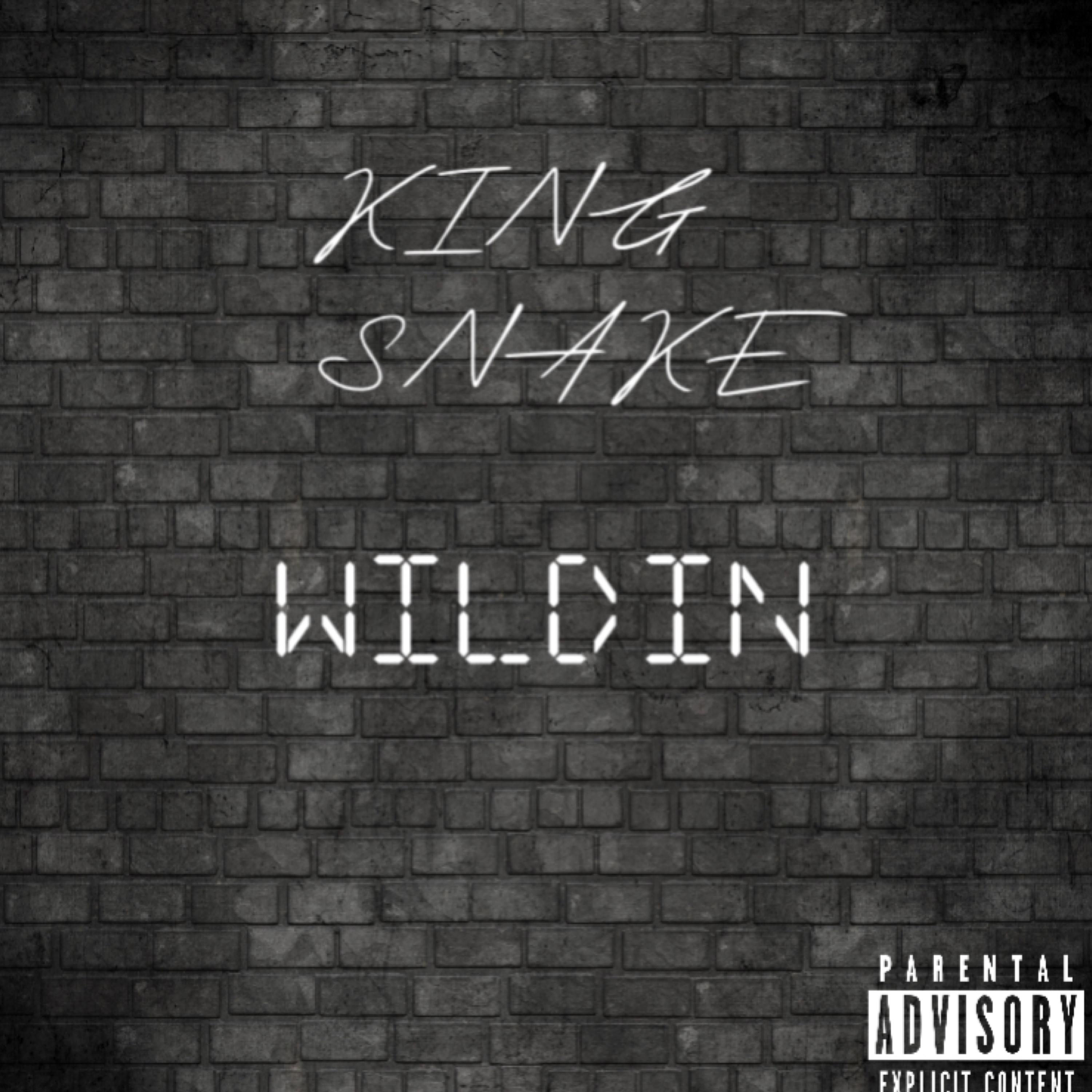 Wildin artwork