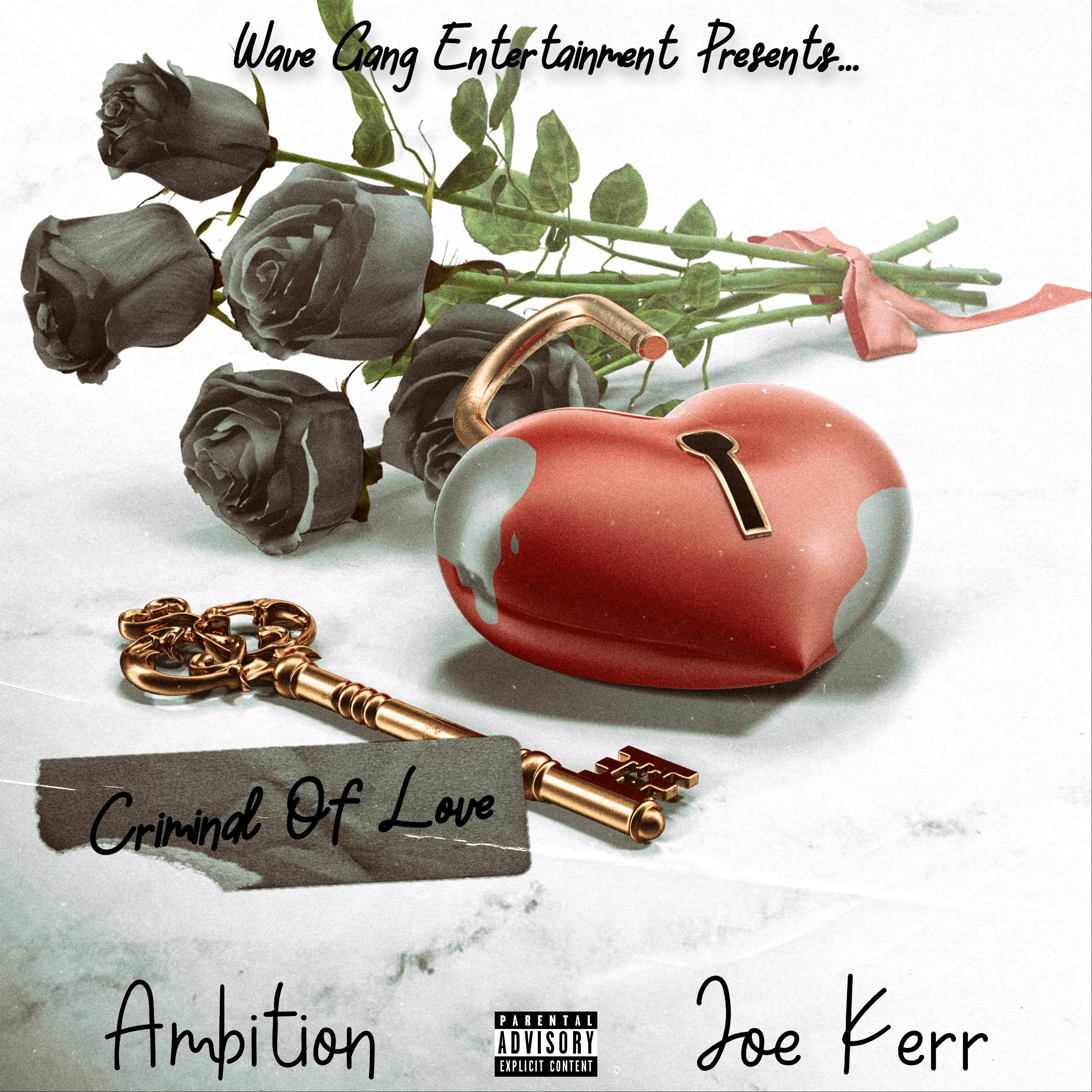 Criminal Of Love by TheyHateAmbition cover art