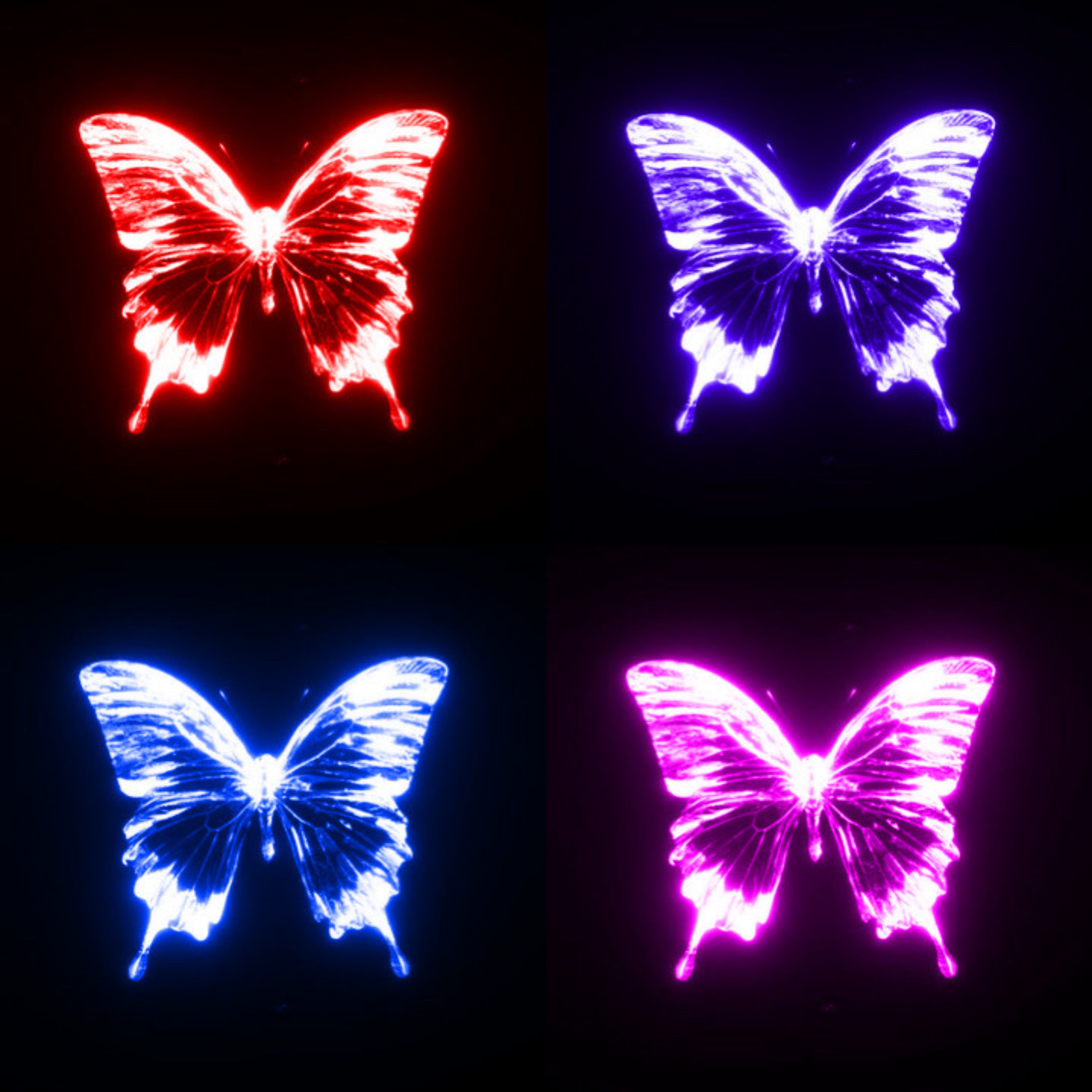 Feel Like Aloe (Aloe 4) artwork