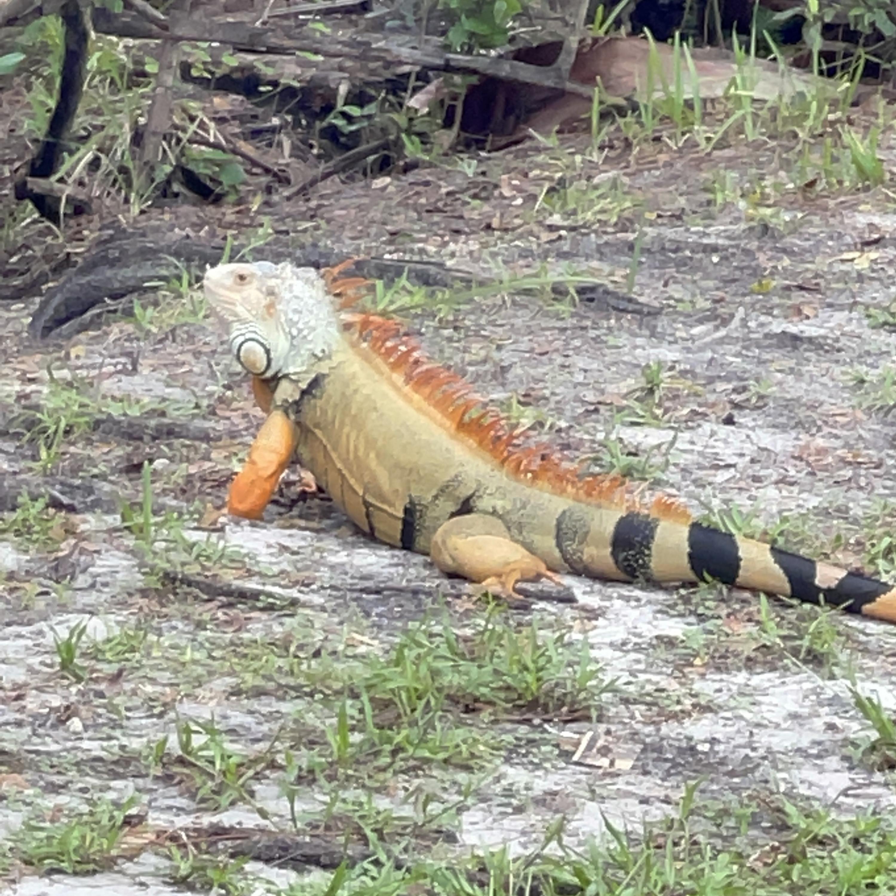 New life 2023 artwork