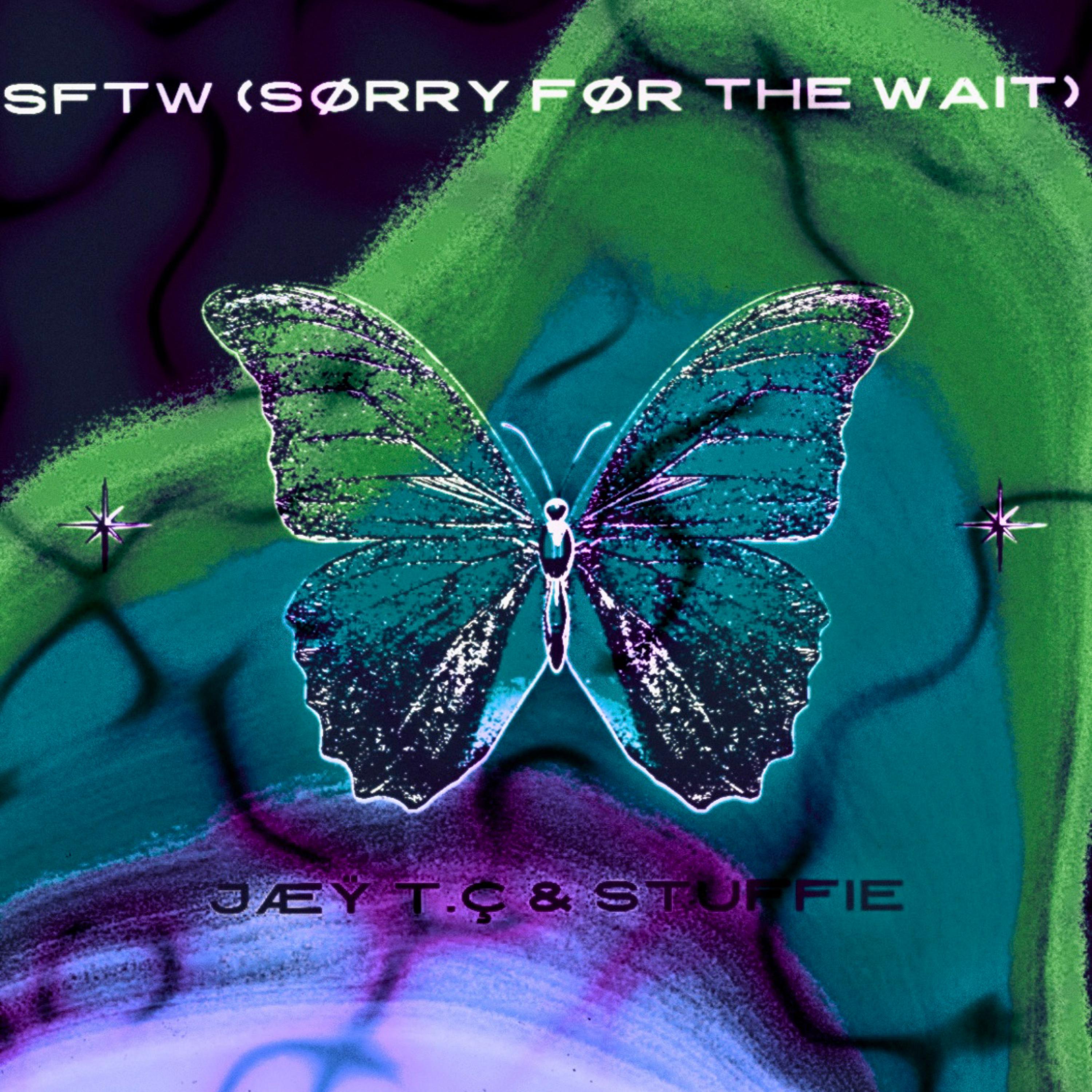 SFTW (SØRRY FØR THE WAIT) artwork