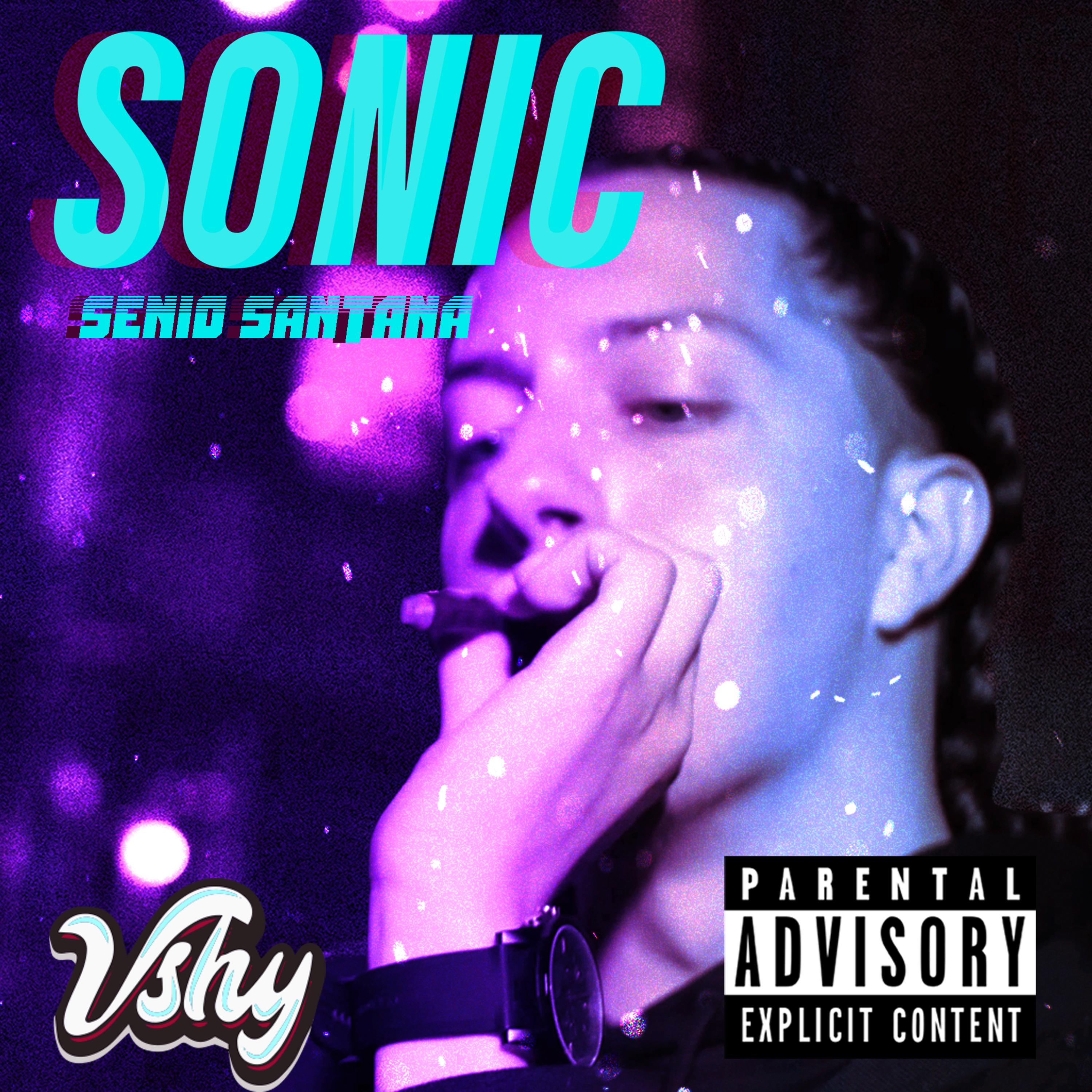 Sonic artwork