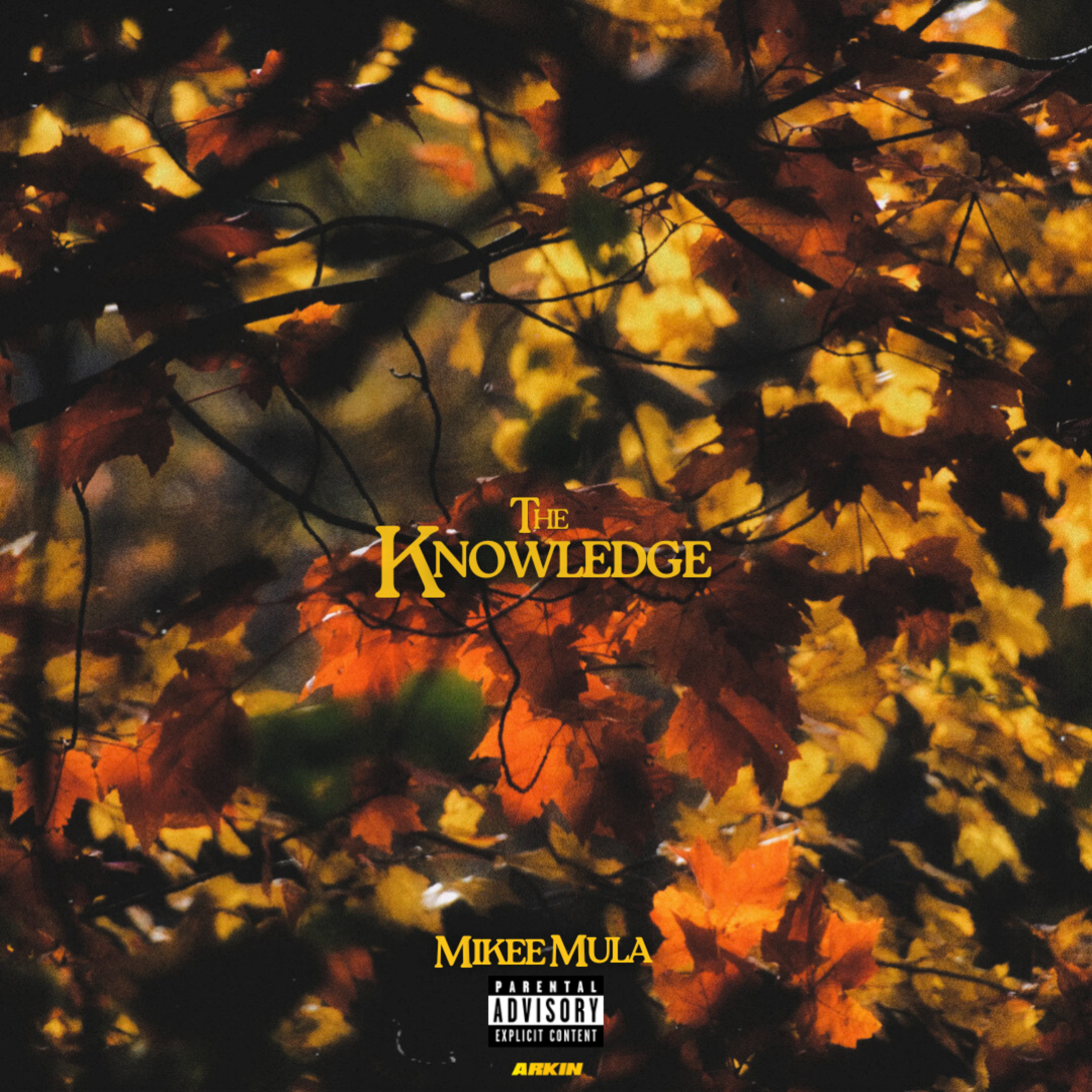 the knowledge artwork