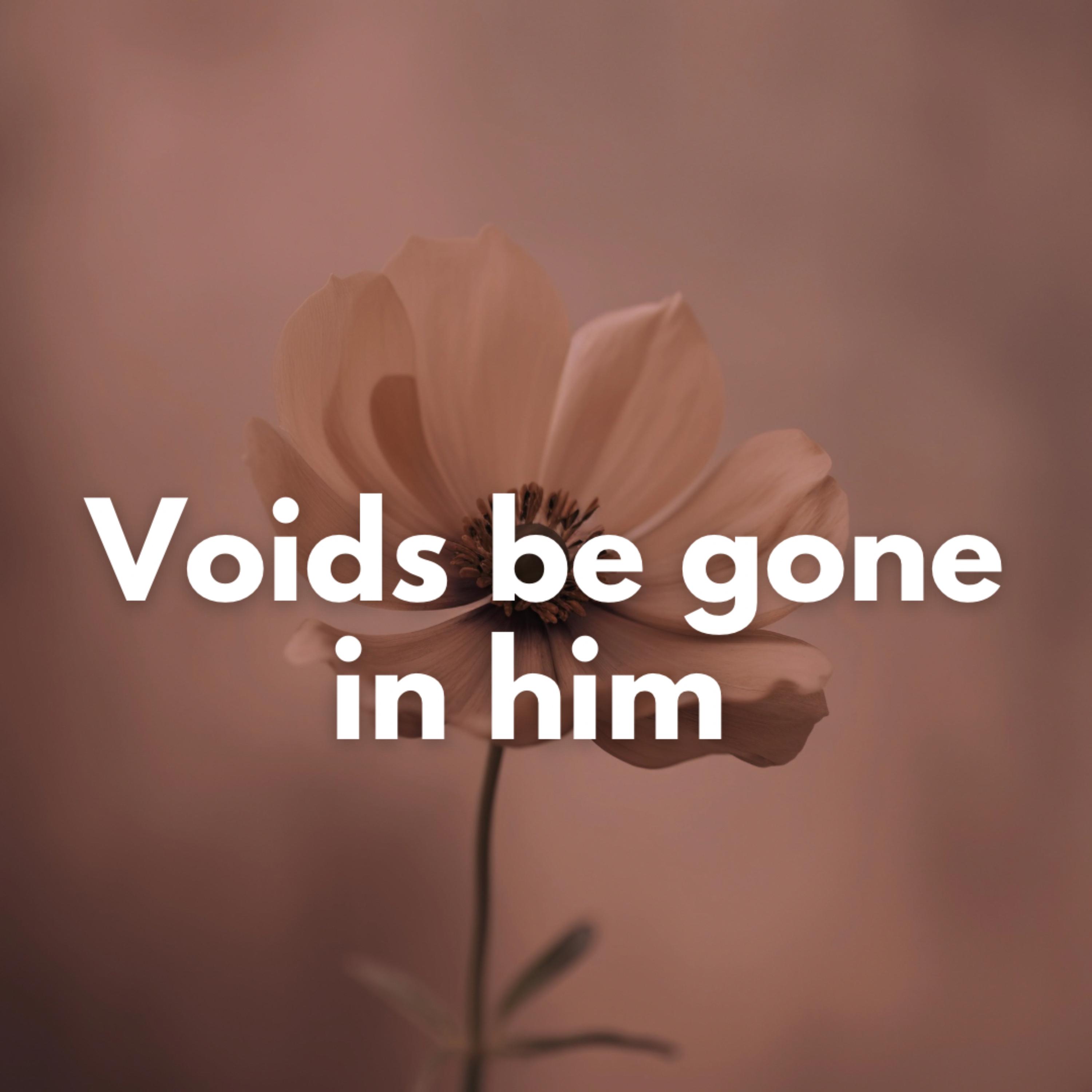 Voids Be Gone In Him artwork