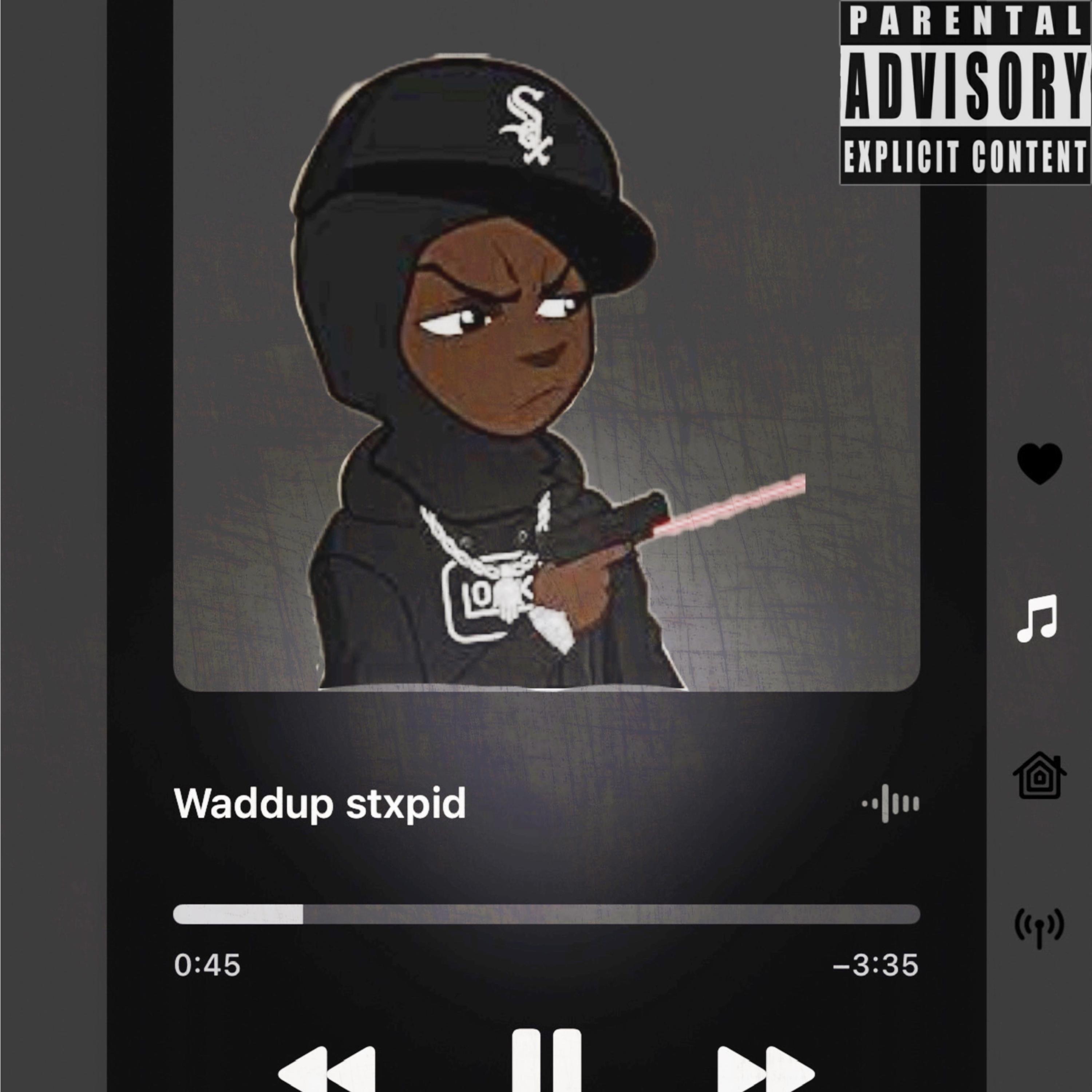 Waddup Stupid artwork