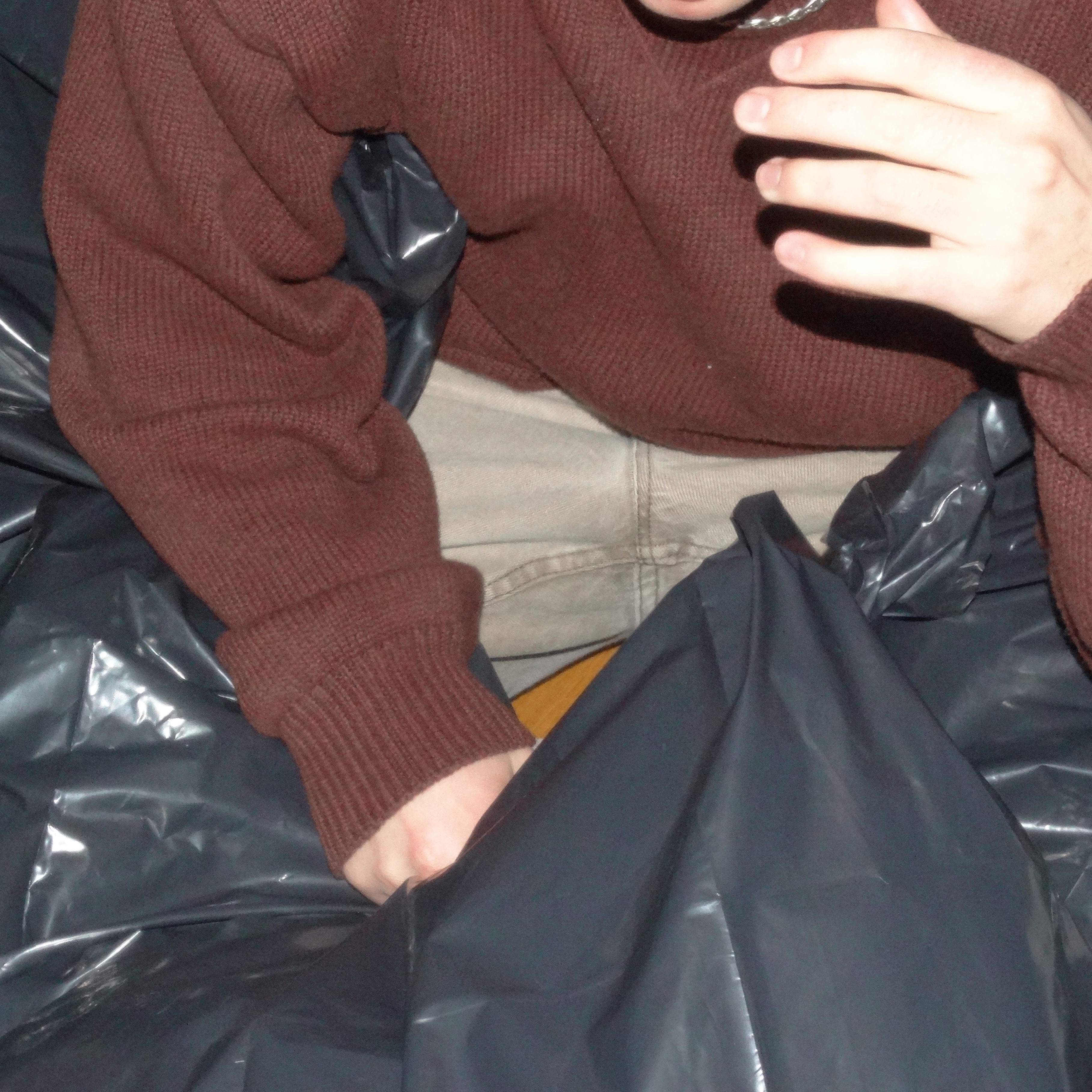 dumpster diving during moving season artwork