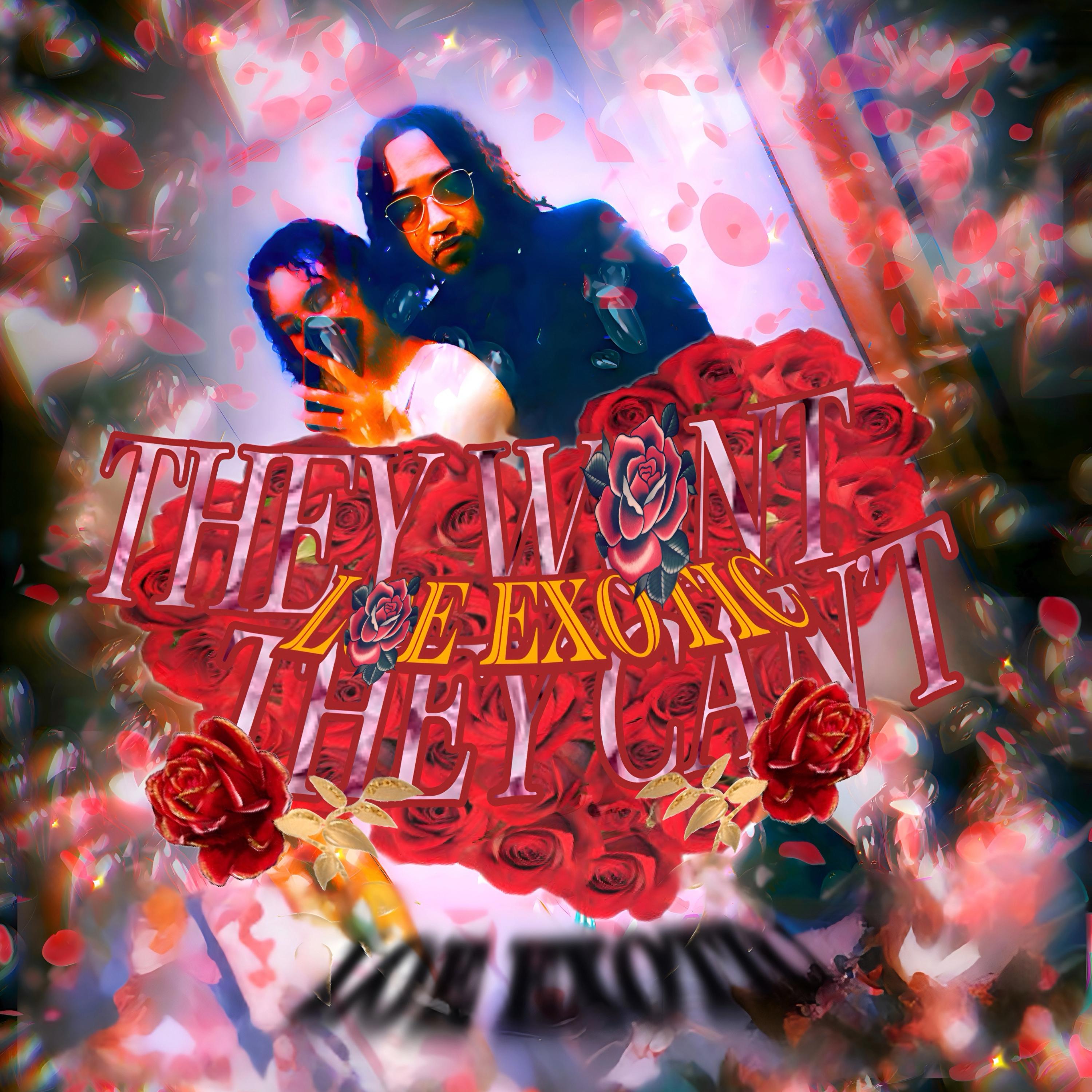 THEY WONT THEY CAN’T artwork