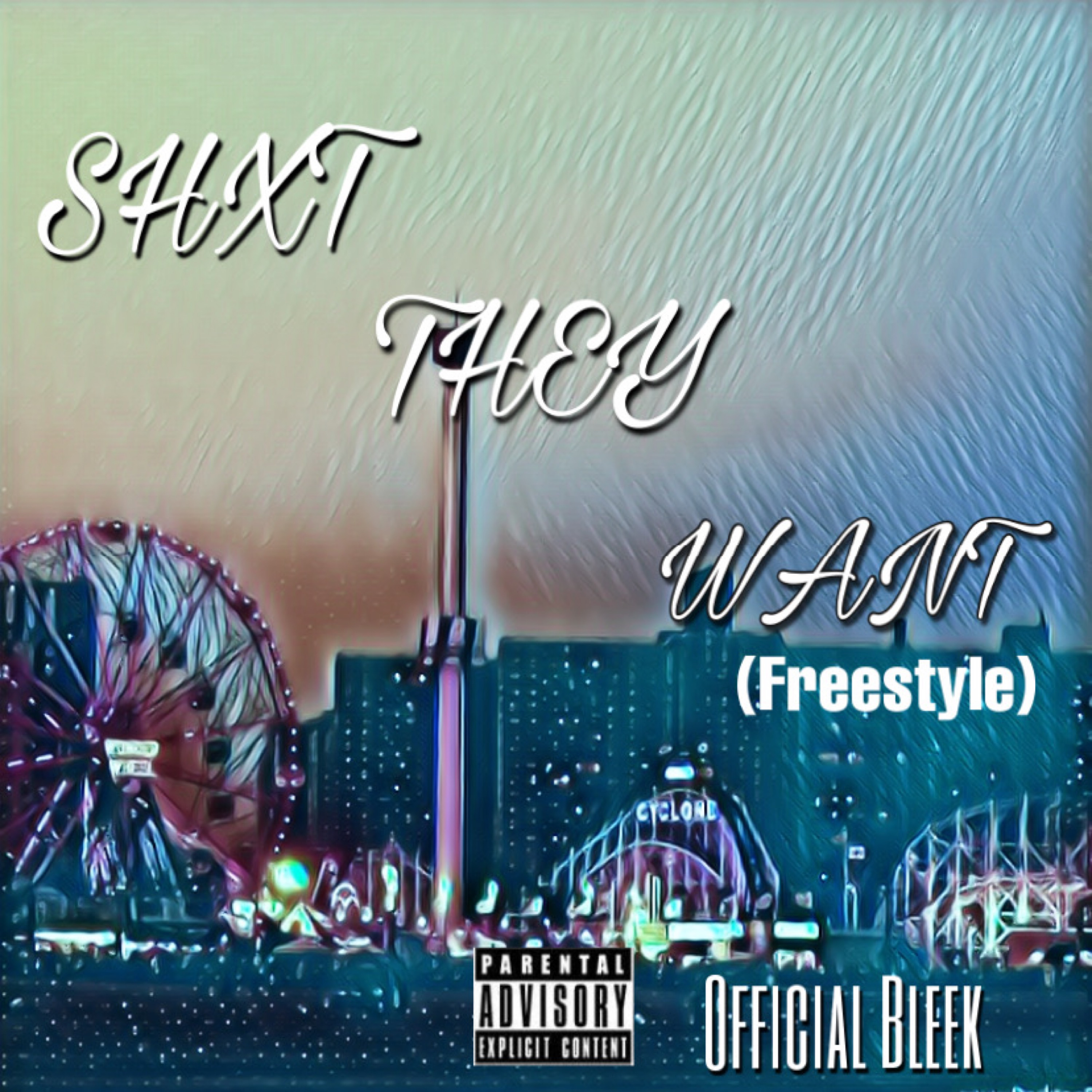 SHXT THEY WANT artwork