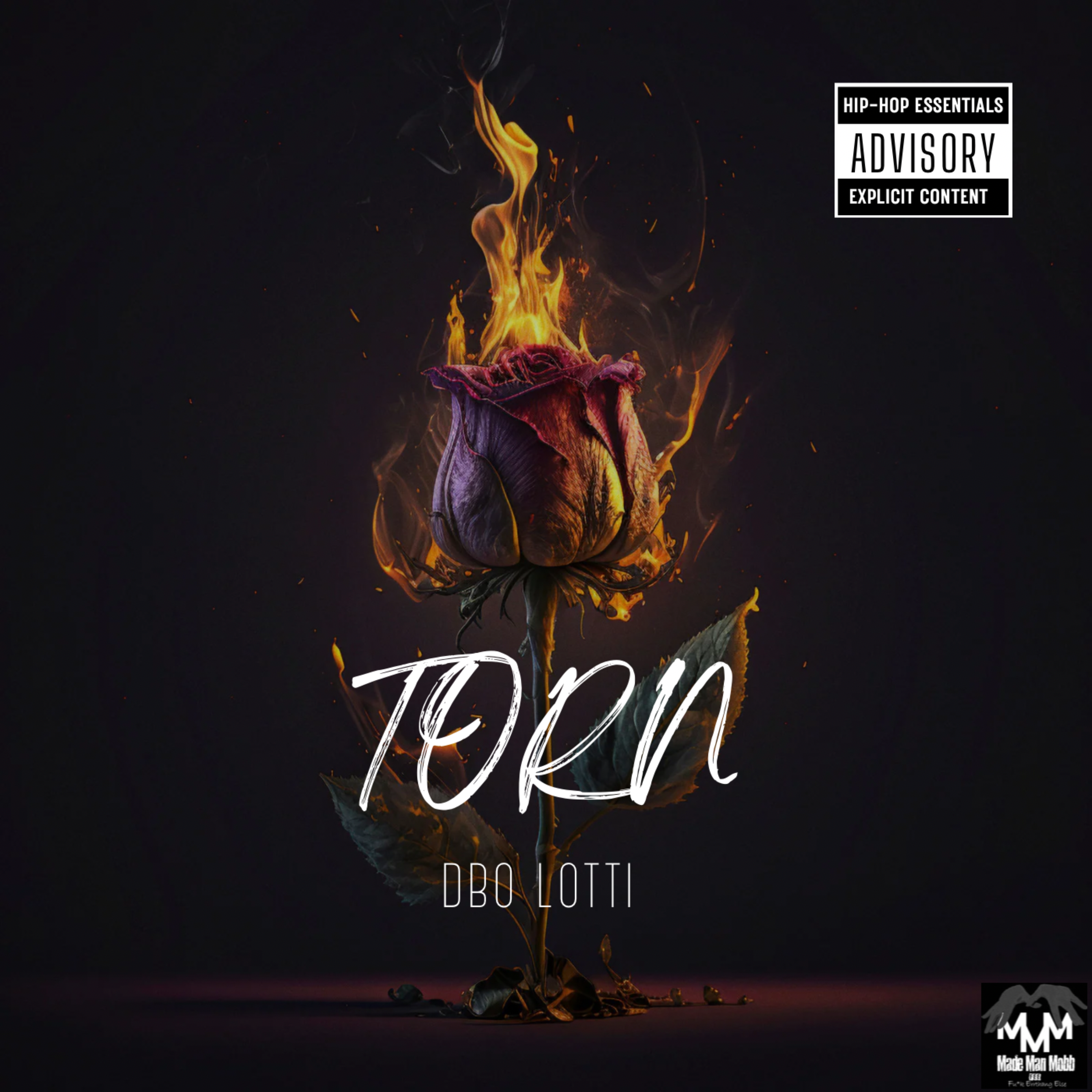 TORN artwork