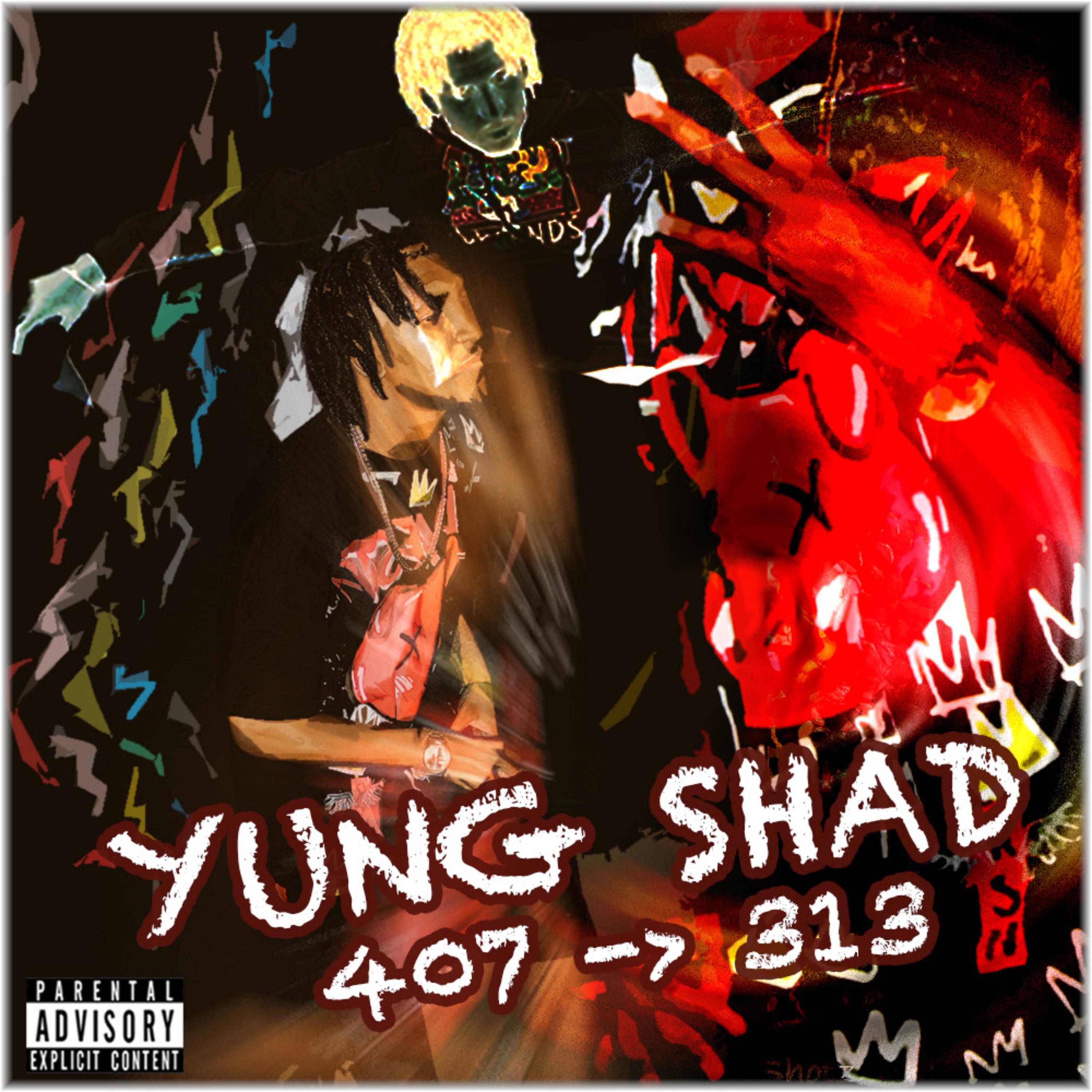 407 to 313 artwork