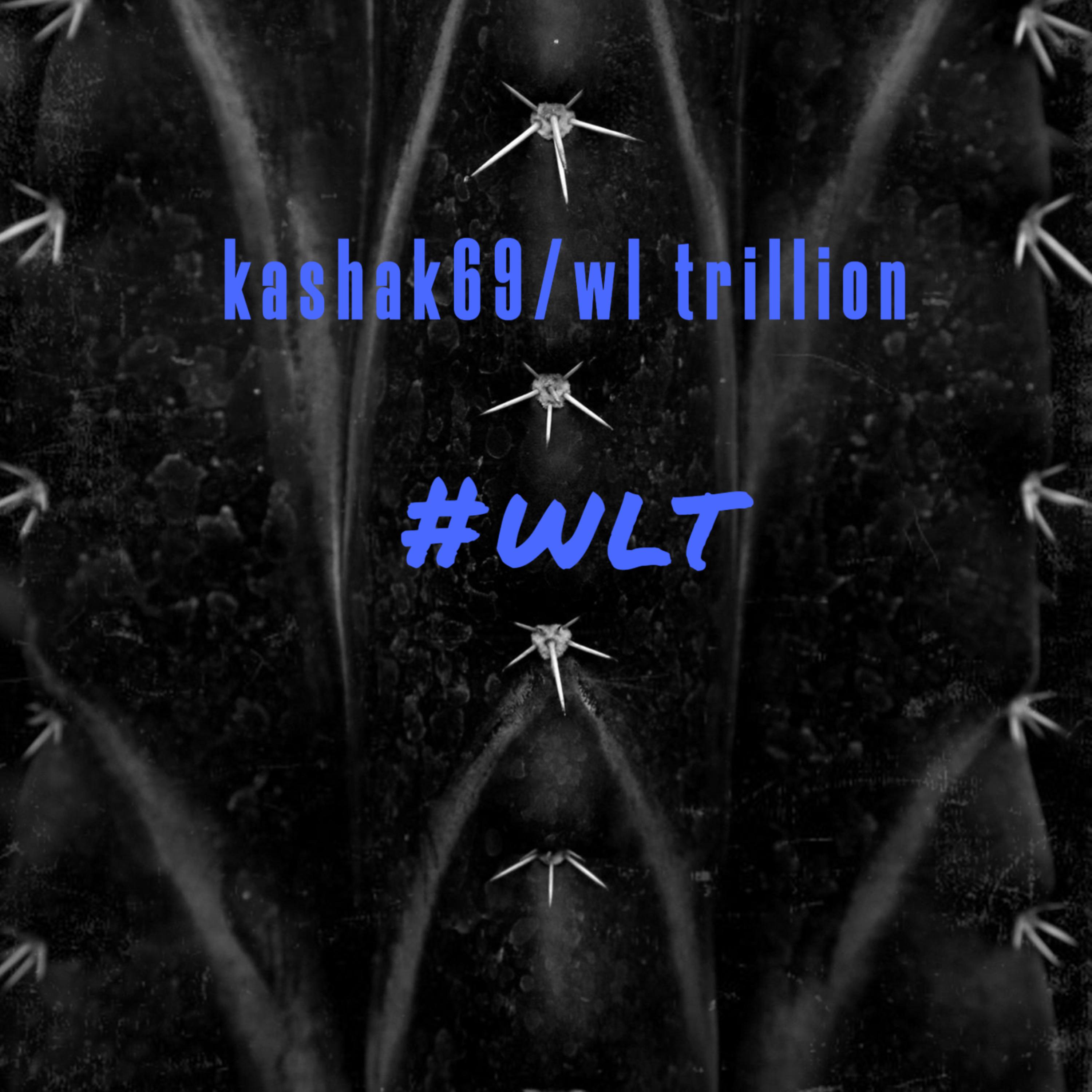 #wlt artwork