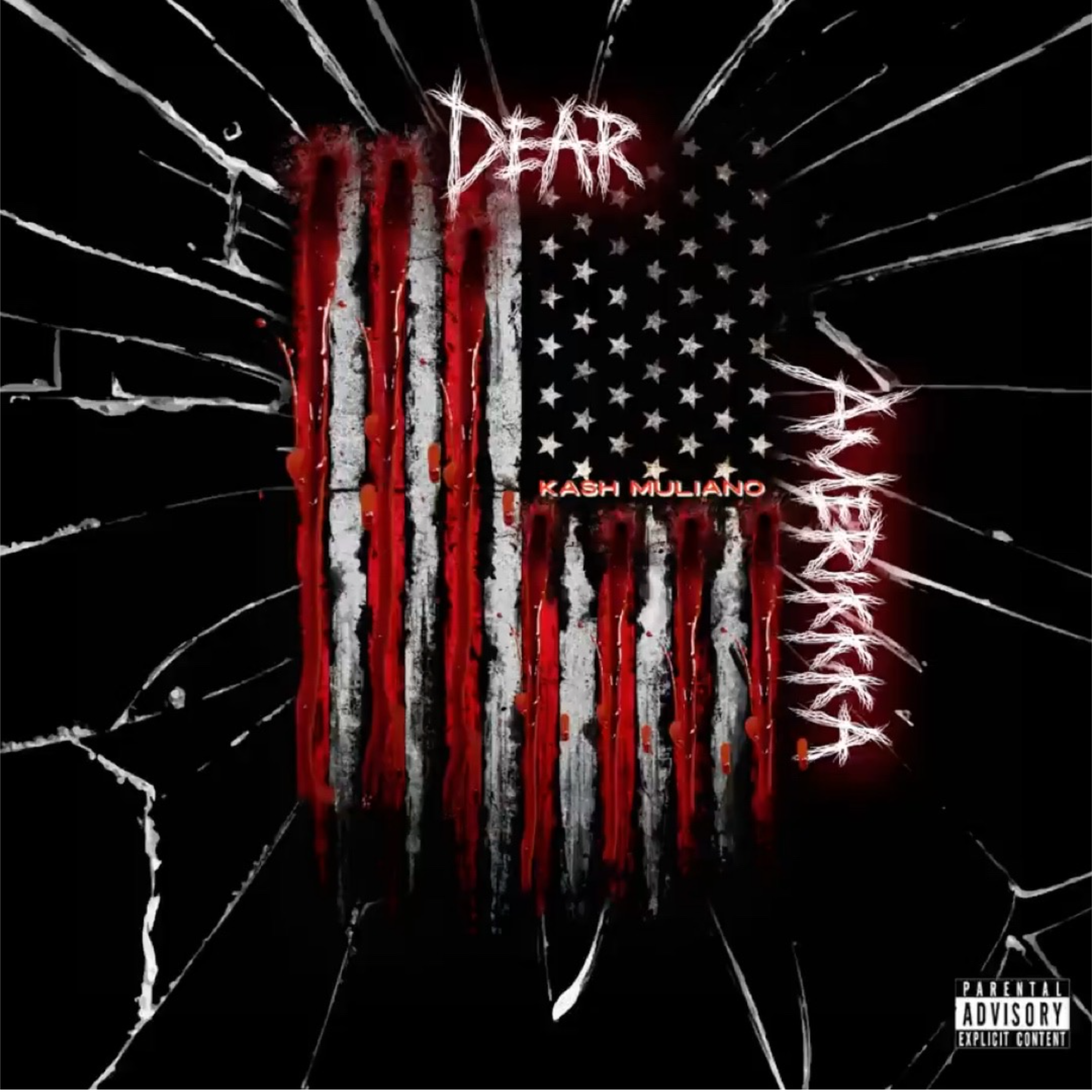 Dear Amerikkka artwork
