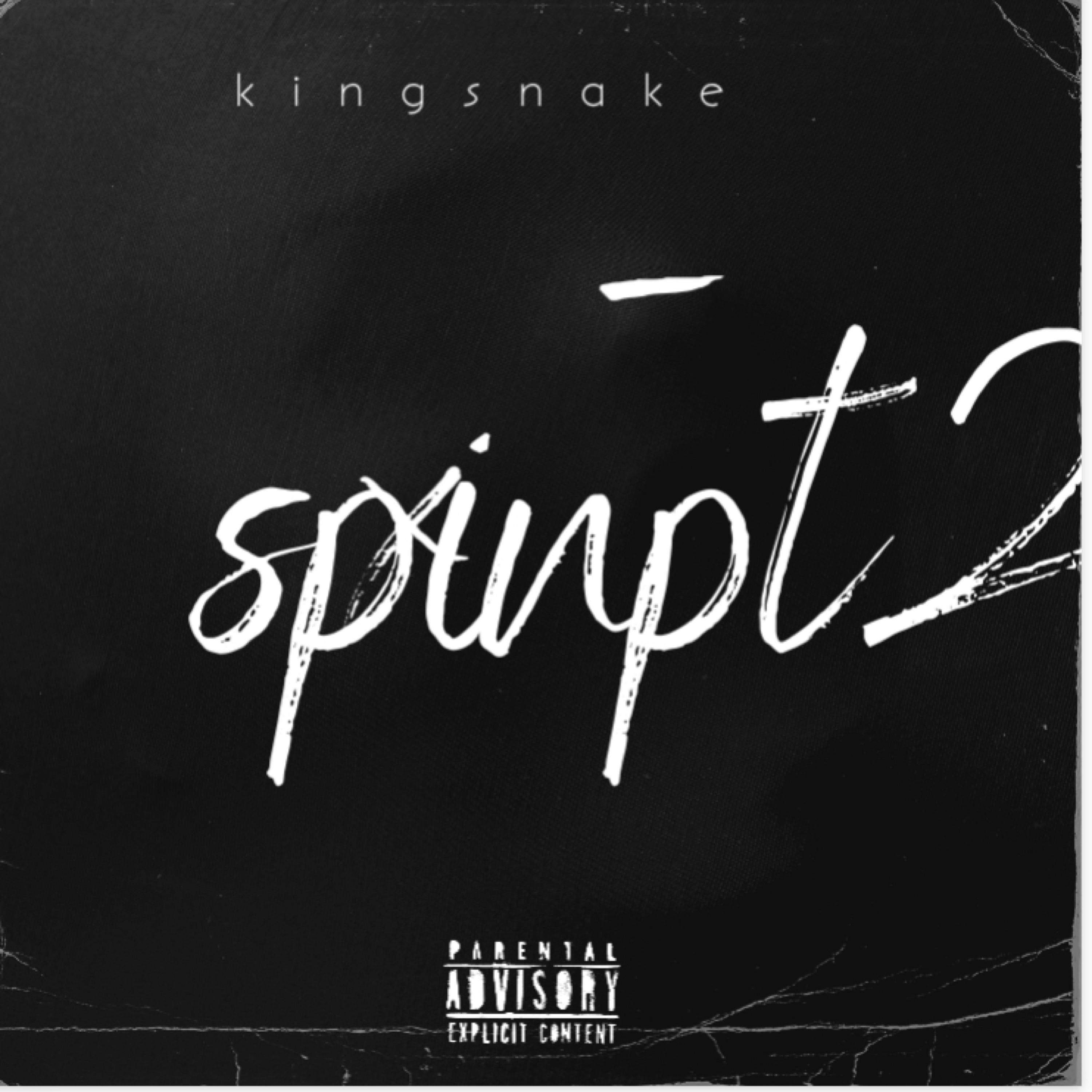 Spinpt2 artwork
