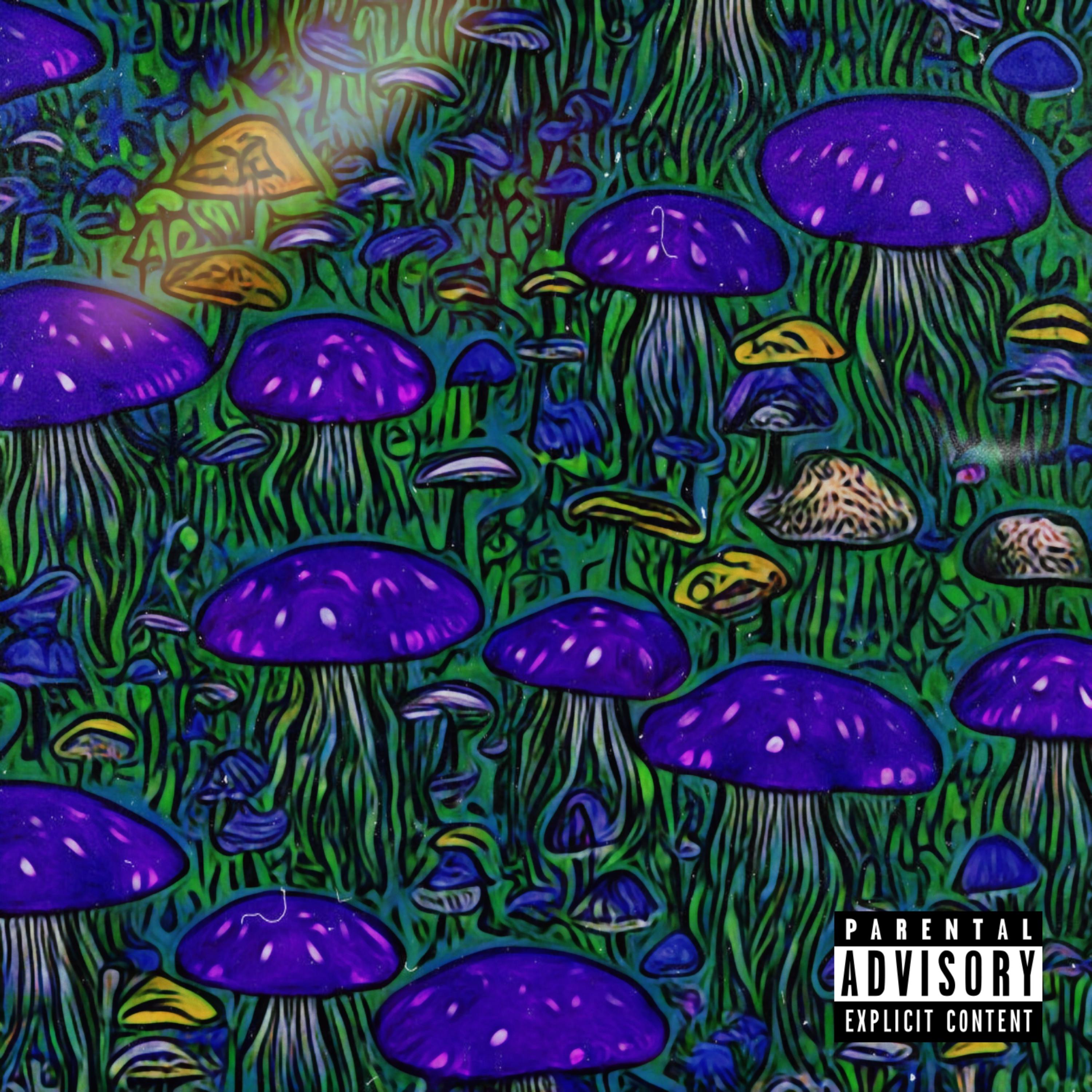 Dome artwork